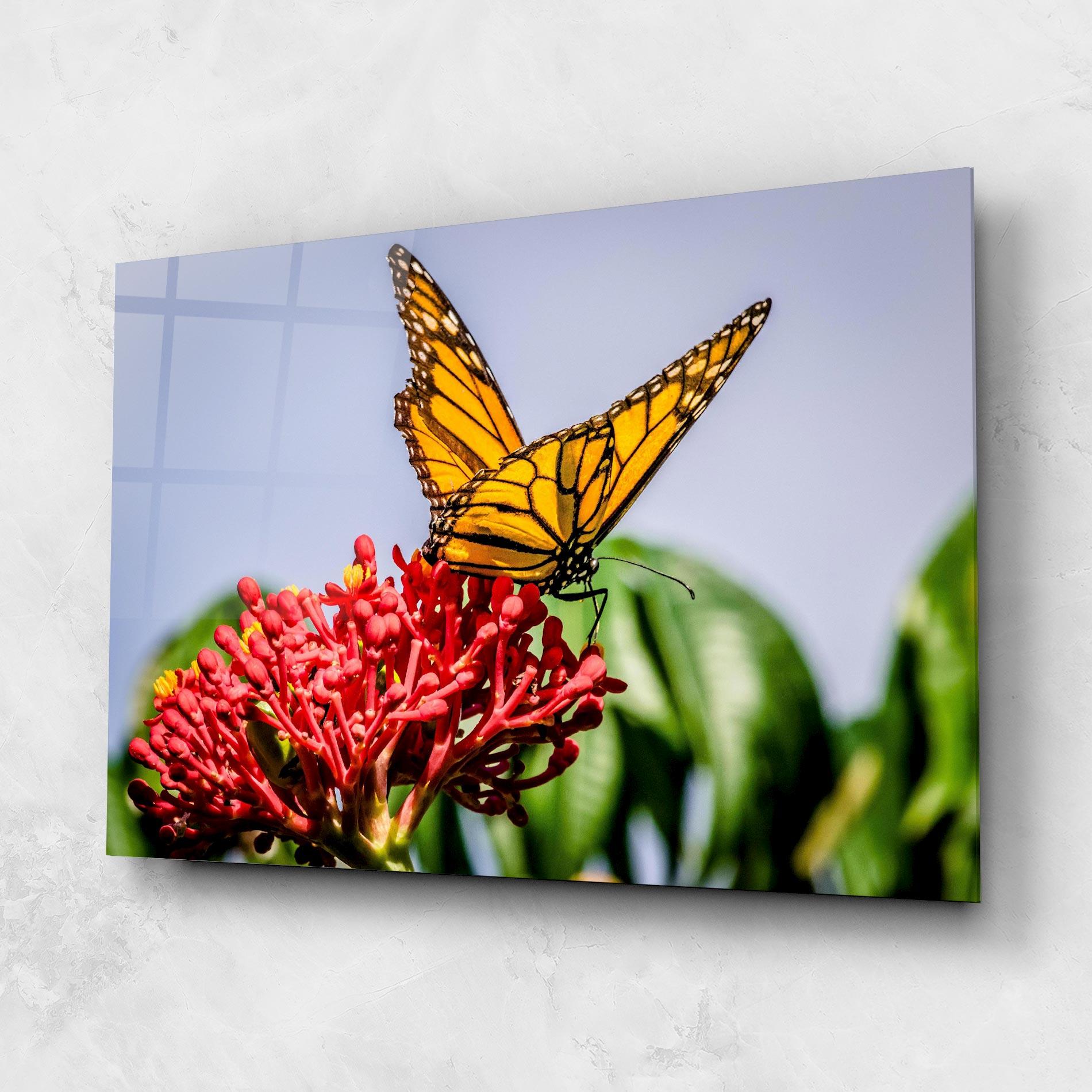 Tablou Sticla Butterfly On Red Flower mockup 1