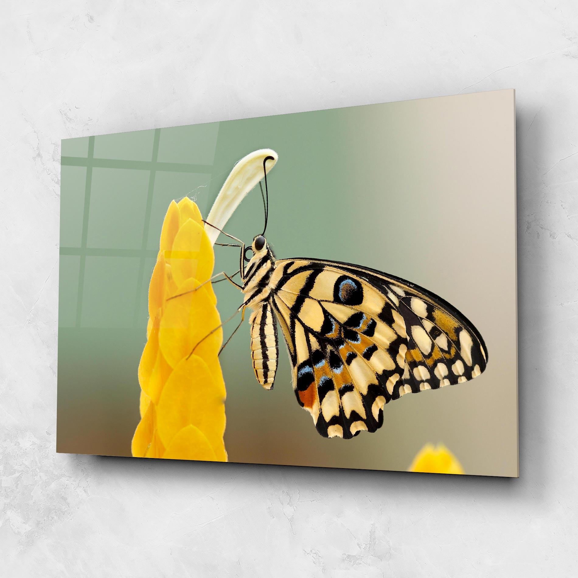 Tablou Sticla Cream Yellow Butterfly mockup 1