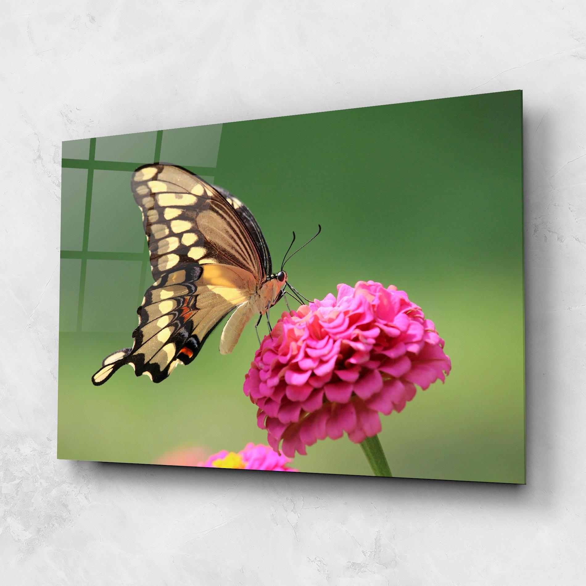 Tablou Sticla Cute Cream Butterfly mockup 1