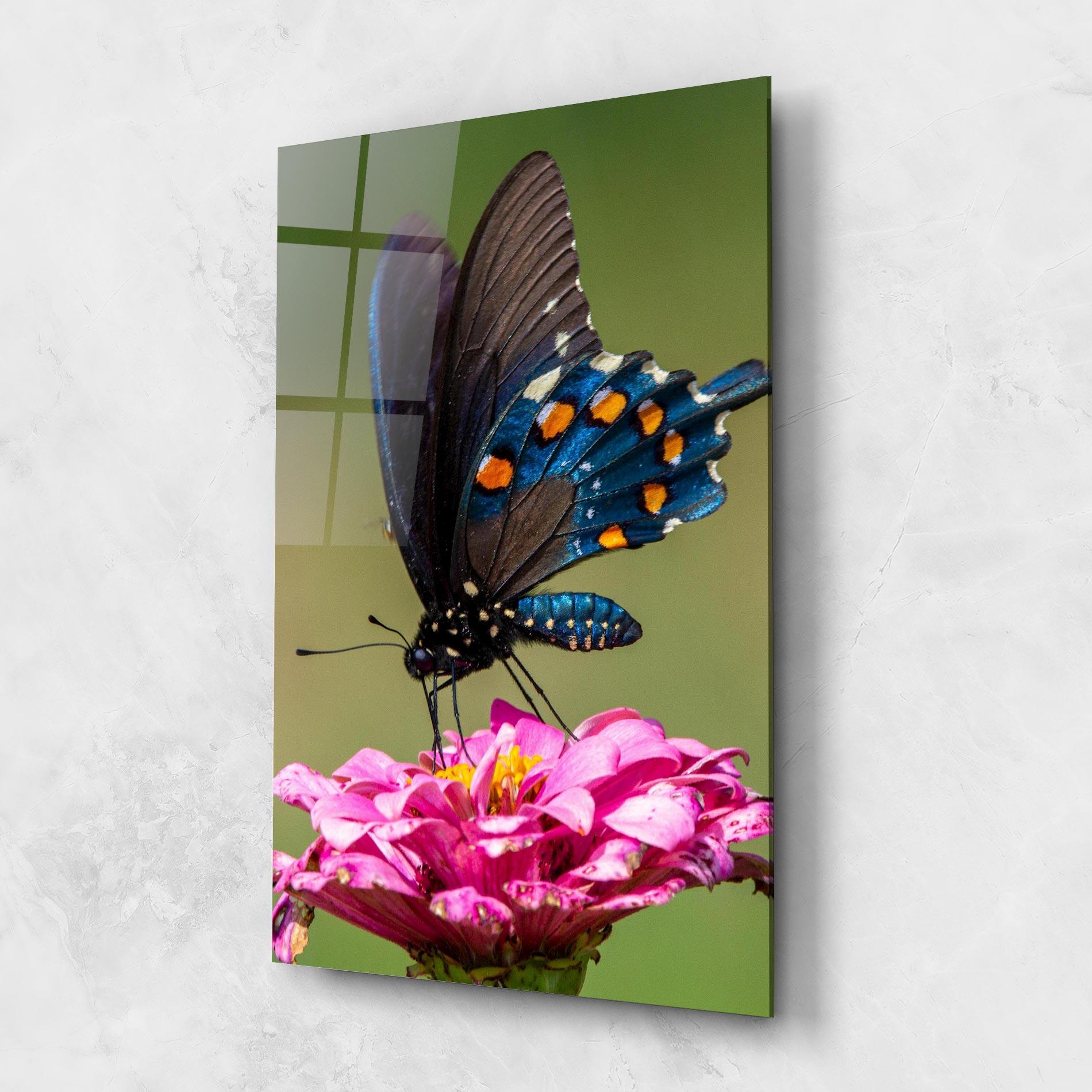 Tablou Sticla Blue Grey Butterfly mockup 1
