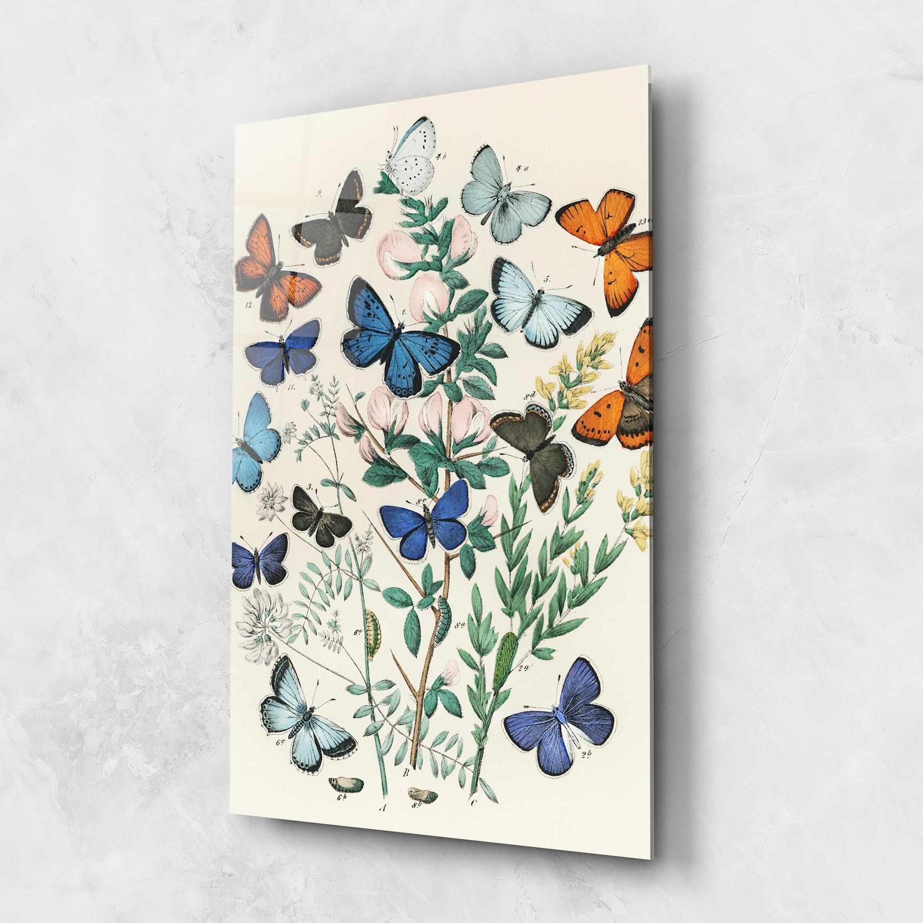 Tablou Sticla Blue Orange Butterflies mockup 1
