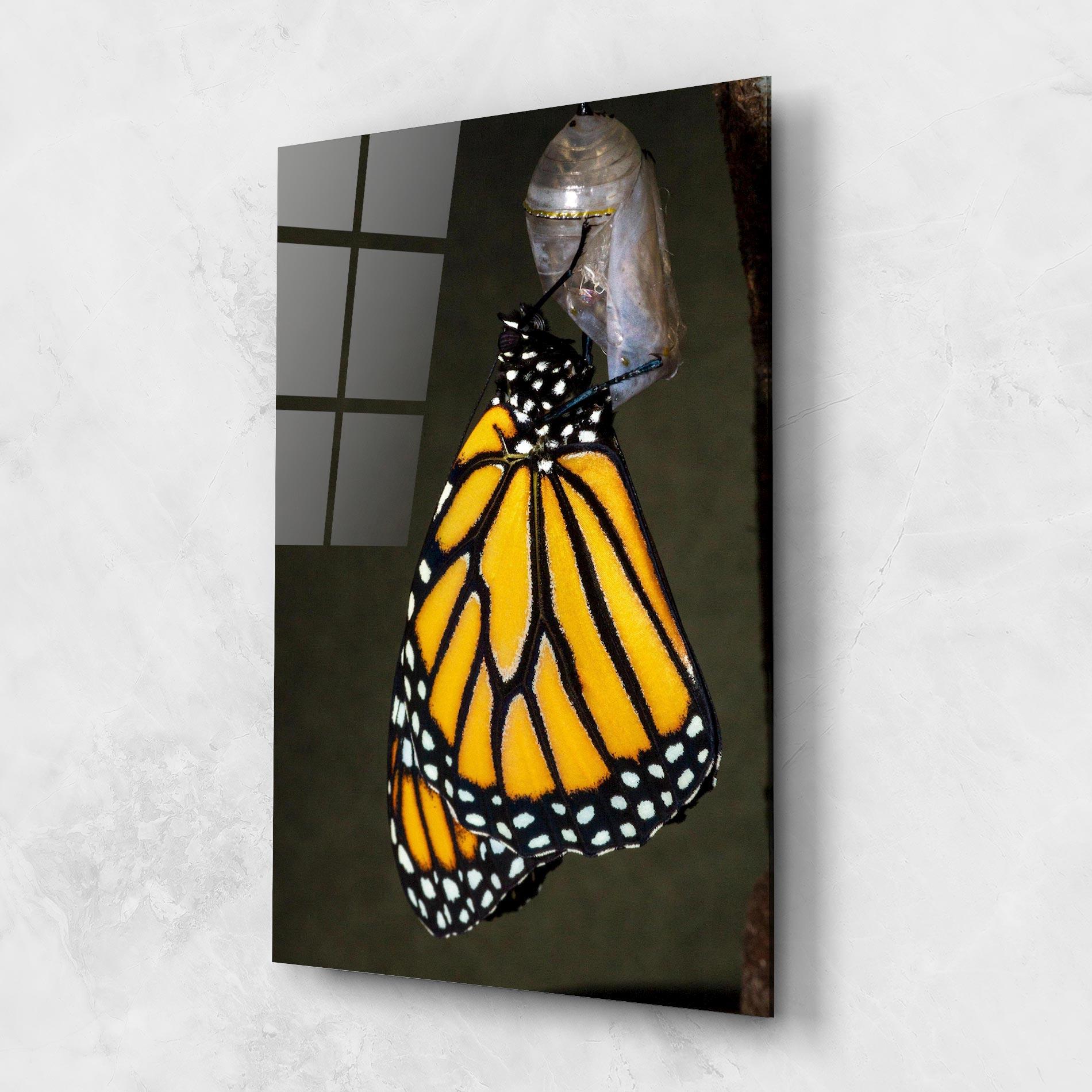 Tablou Sticla Dark Yellow Butterfly mockup 1