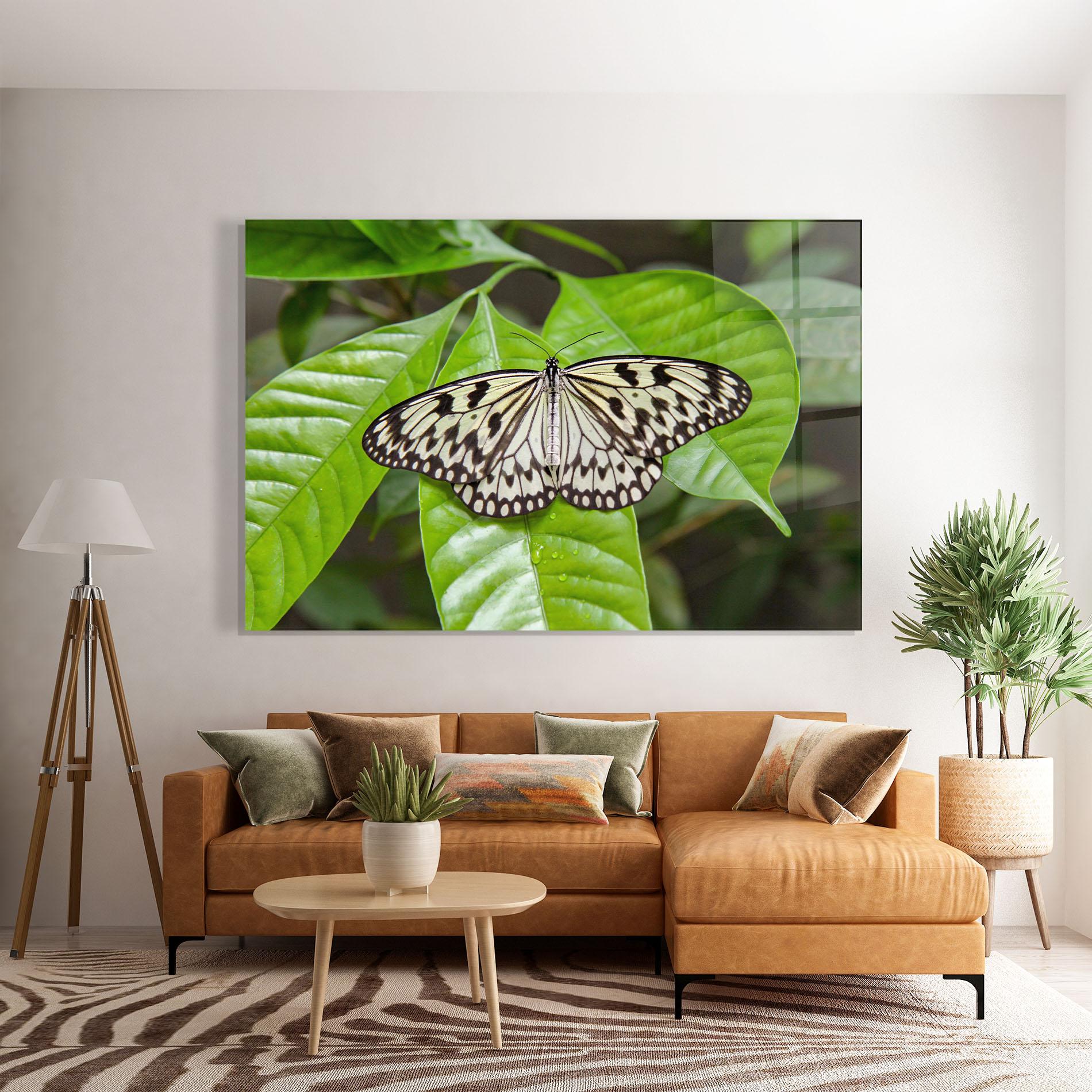 Tablou Sticla Beautiful White Butterfly mockup 7