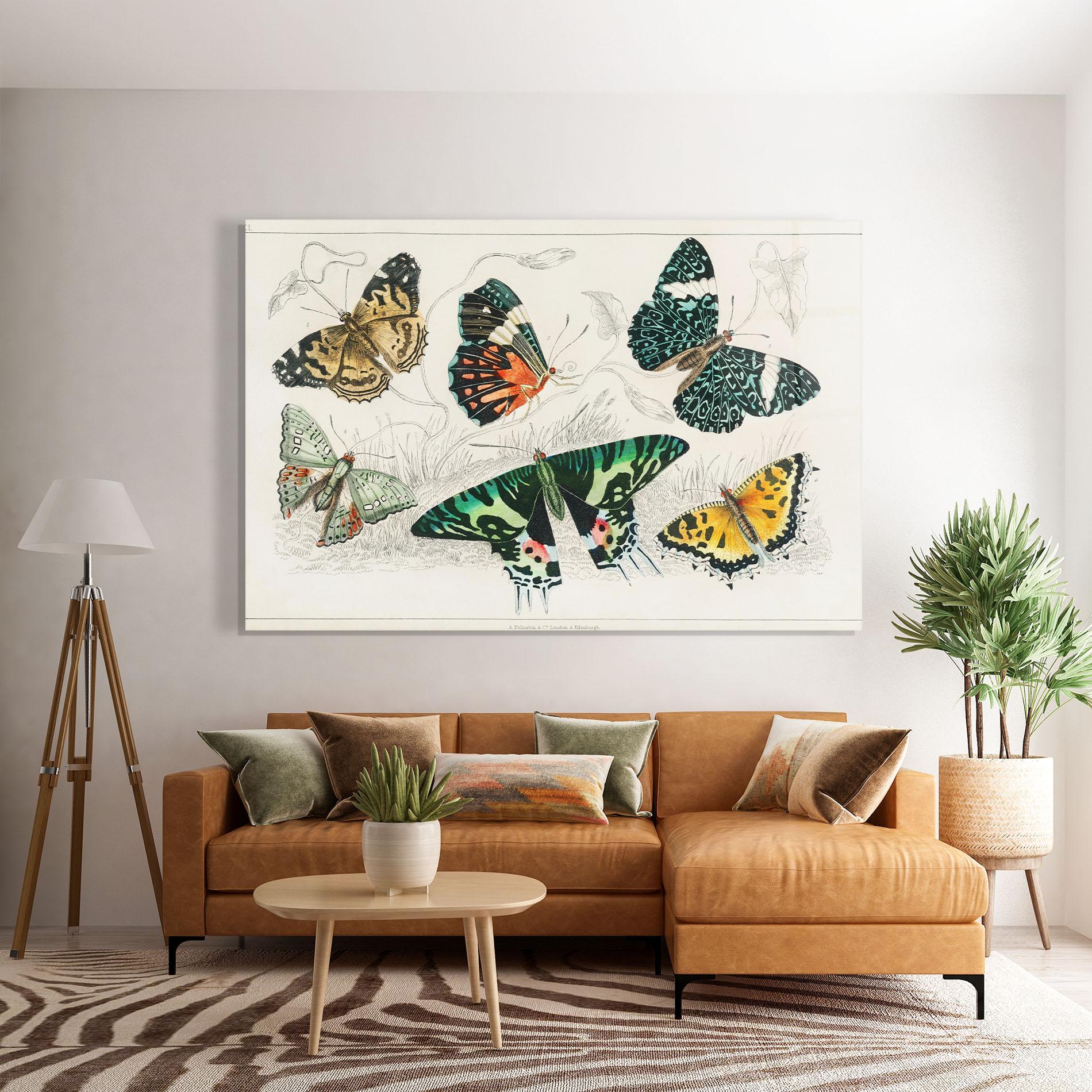 Tablou Sticla Butterfly Art mockup 7