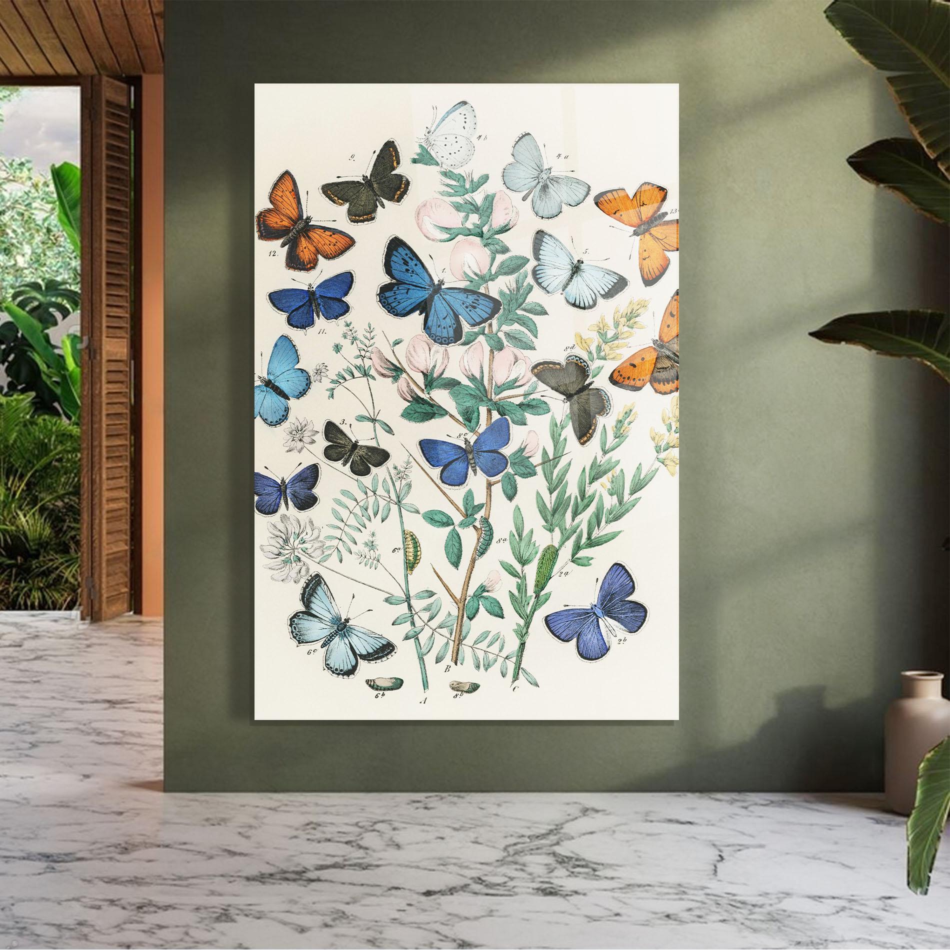 Tablou Sticla Blue Orange Butterflies mockup 7