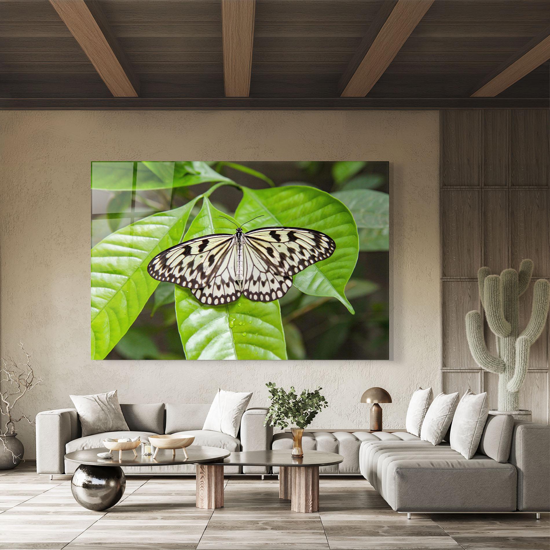 Tablou Sticla Beautiful White Butterfly mockup 8