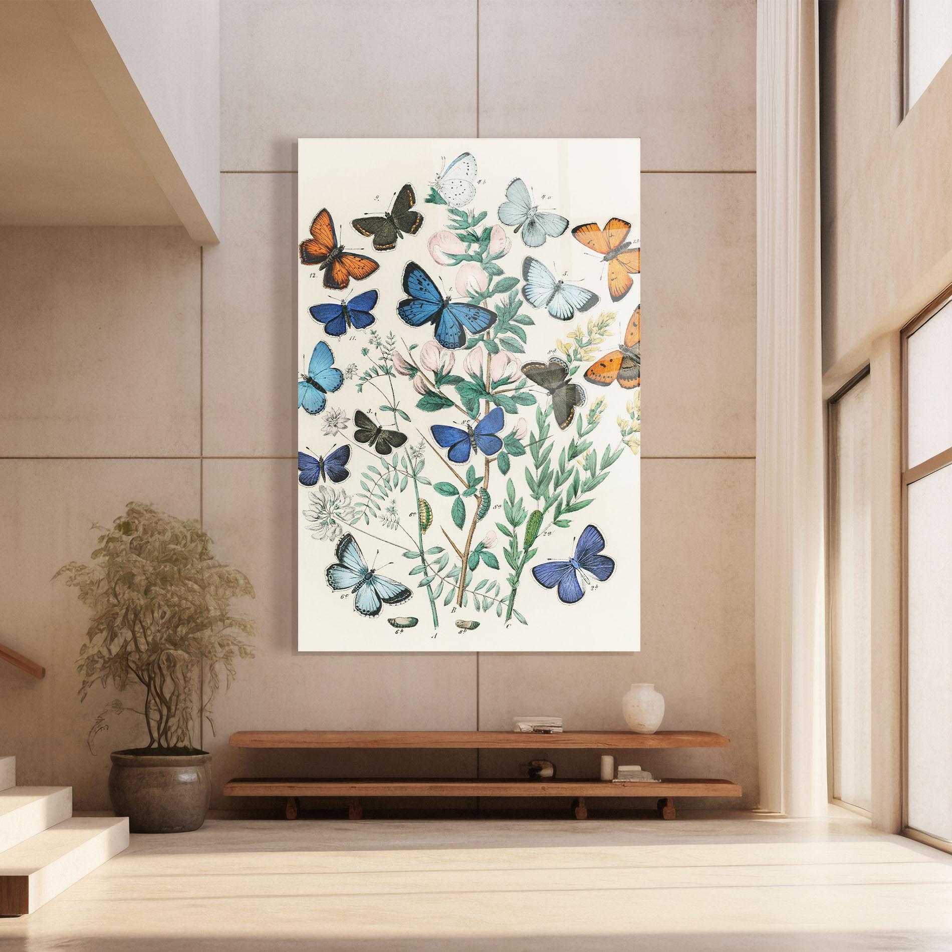 Tablou Sticla Blue Orange Butterflies mockup 8