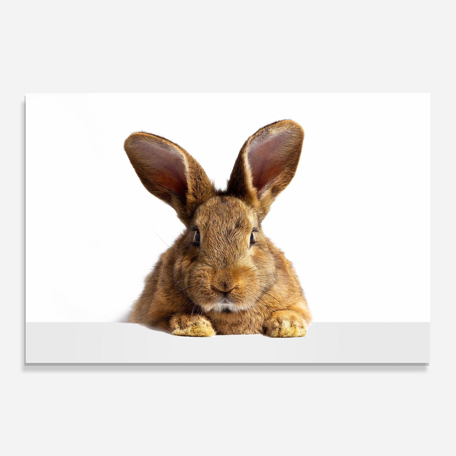 Tablou Sticla Brown Cute Bunny mockup 0