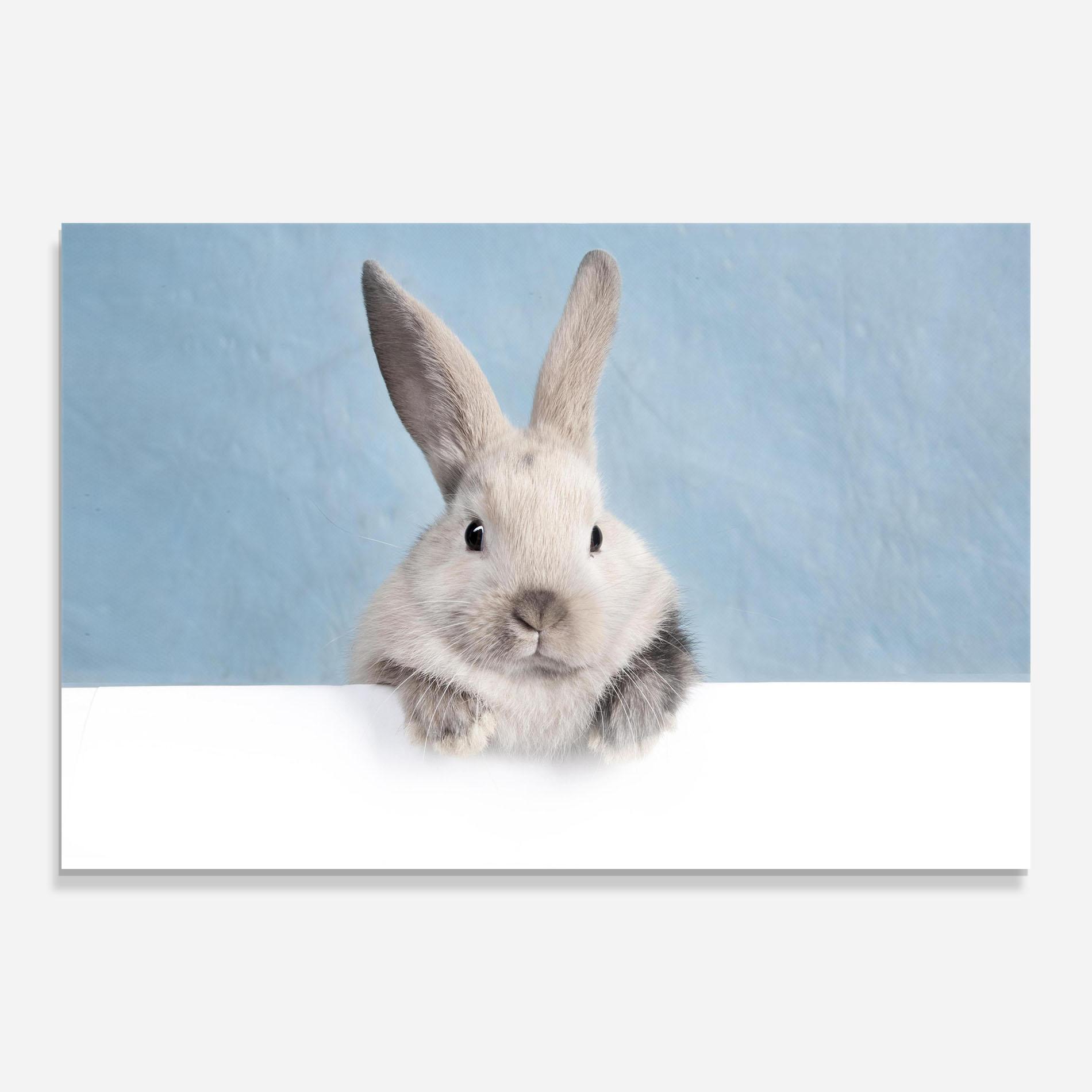 Tablou Sticla Cream Bunny mockup 0