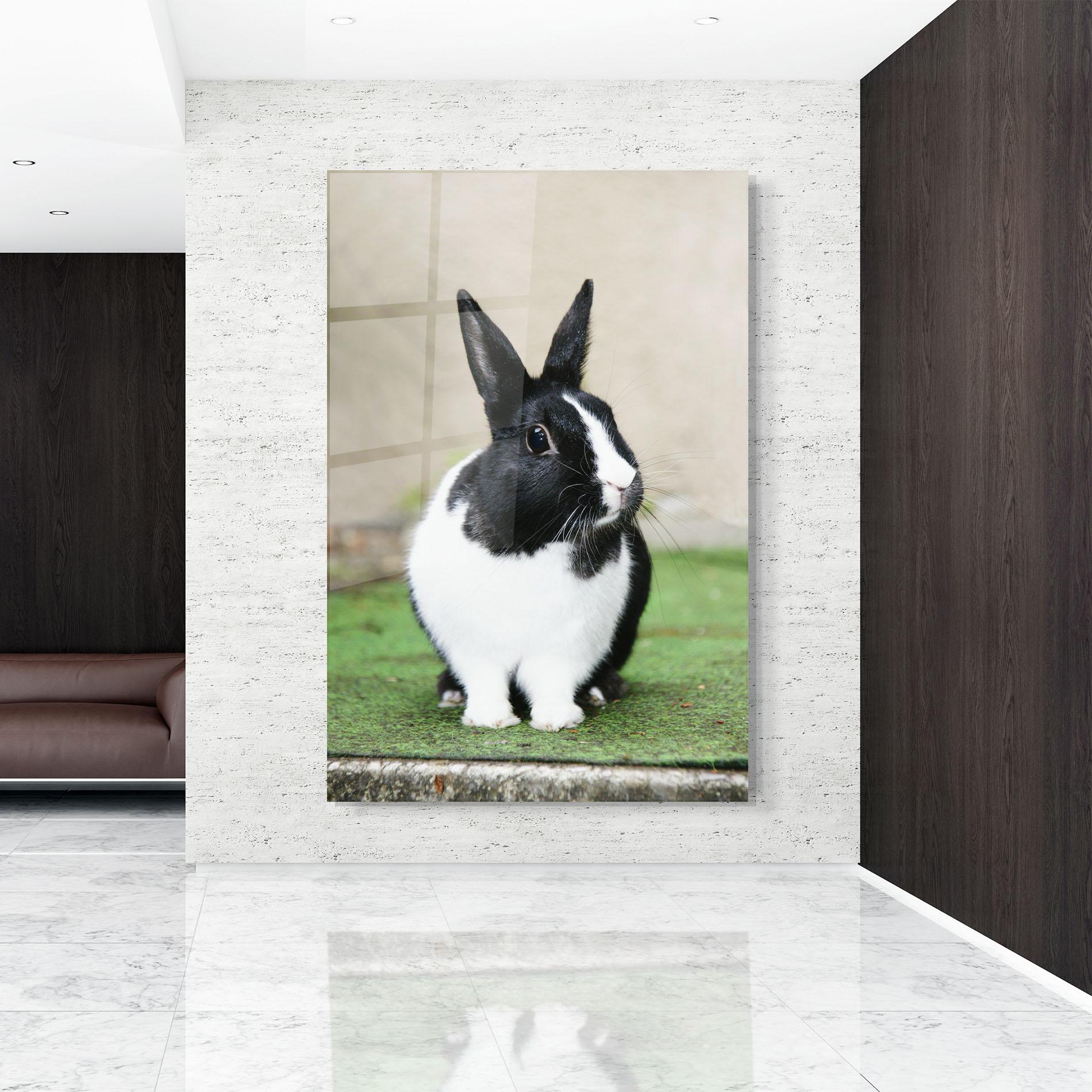 Tablou Sticla Black Ear Rabbit mockup 9