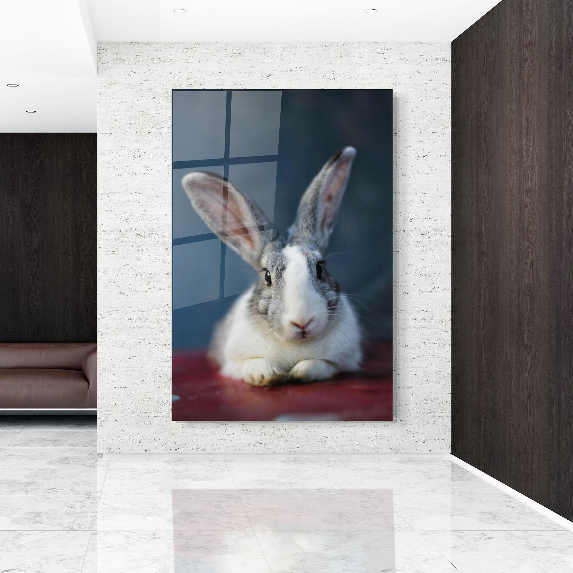 Tablou Sticla Cute Grey Bunny mockup 9