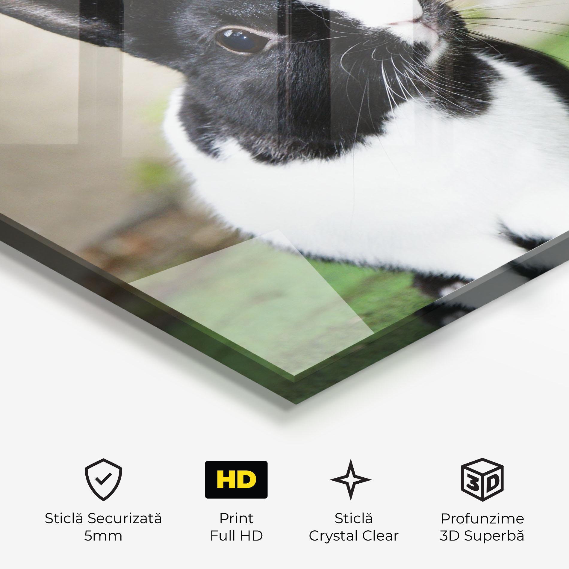 Tablou Sticla Black Ear Rabbit mockup 3