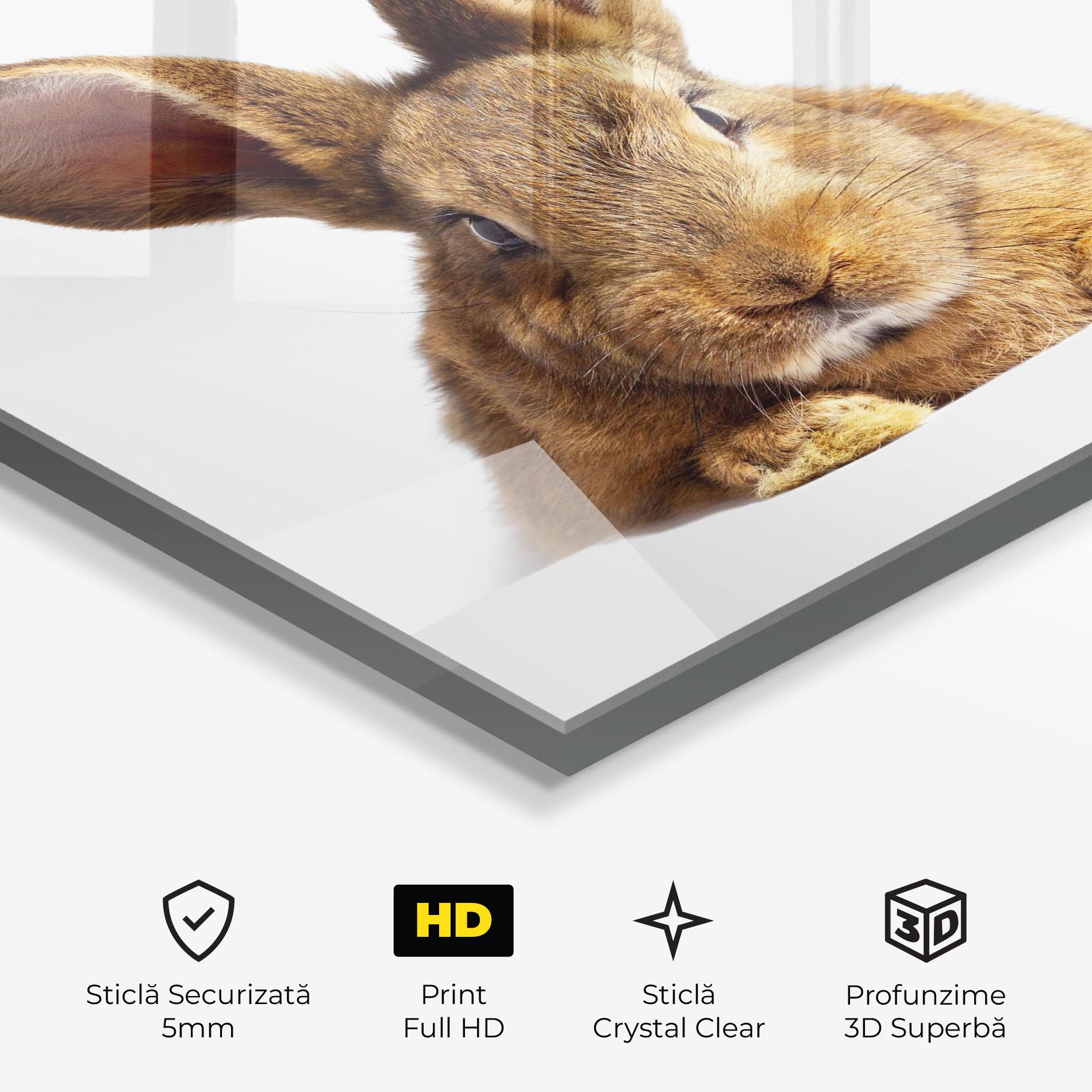 Tablou Sticla Brown Cute Bunny mockup 3