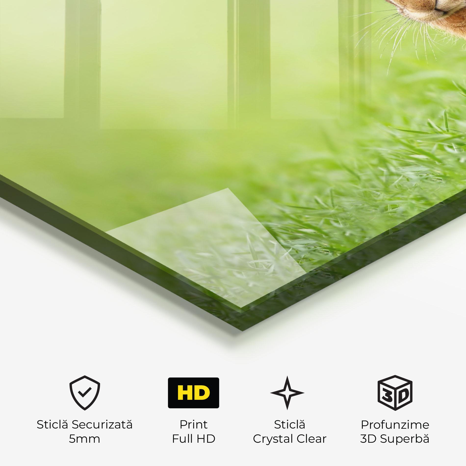 Tablou Sticla Brown Hares mockup 3