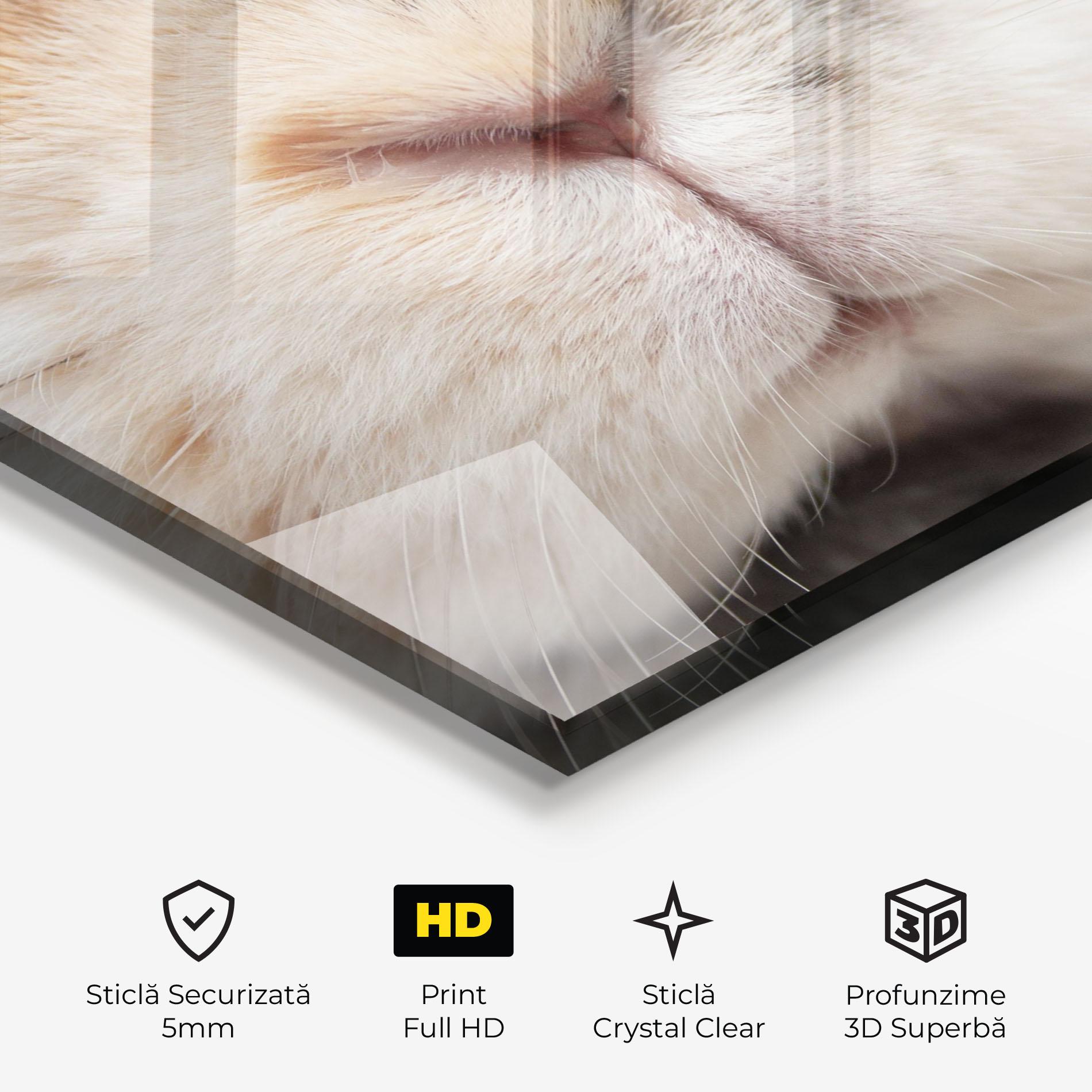 Tablou Sticla Close Up Bunny mockup 3