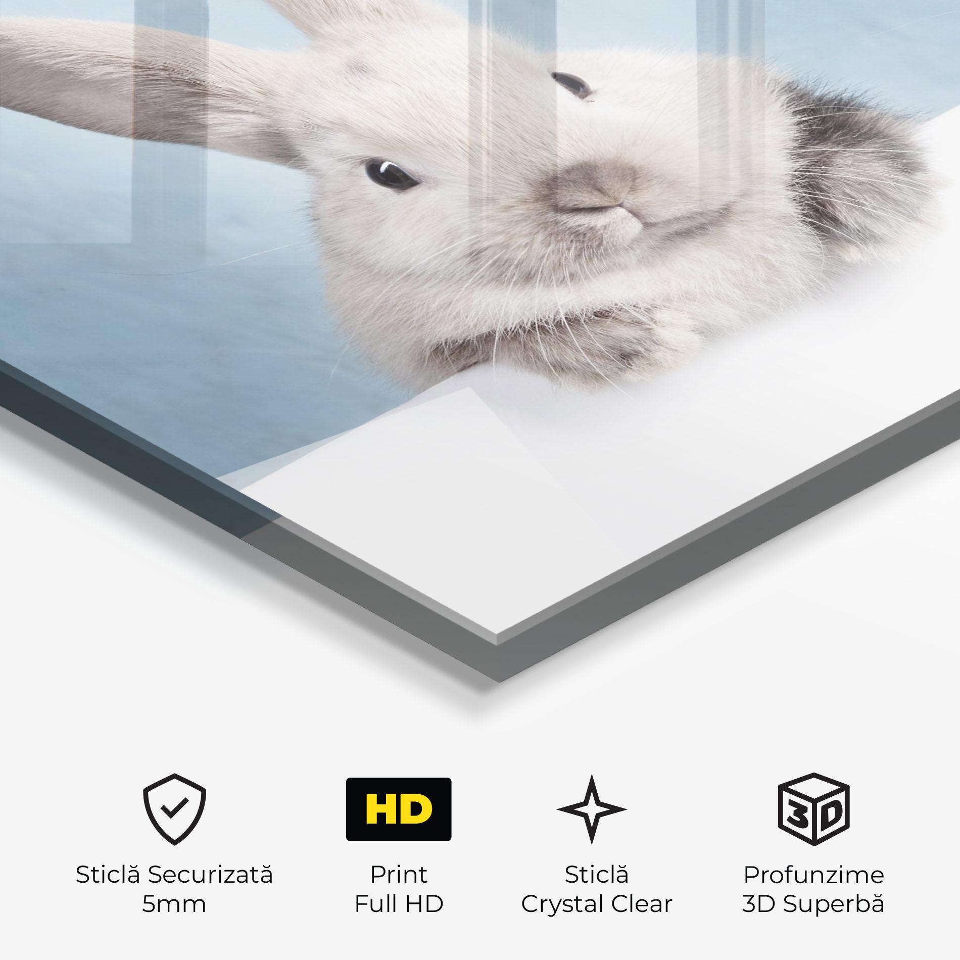 Tablou Sticla Cream Bunny mockup 3