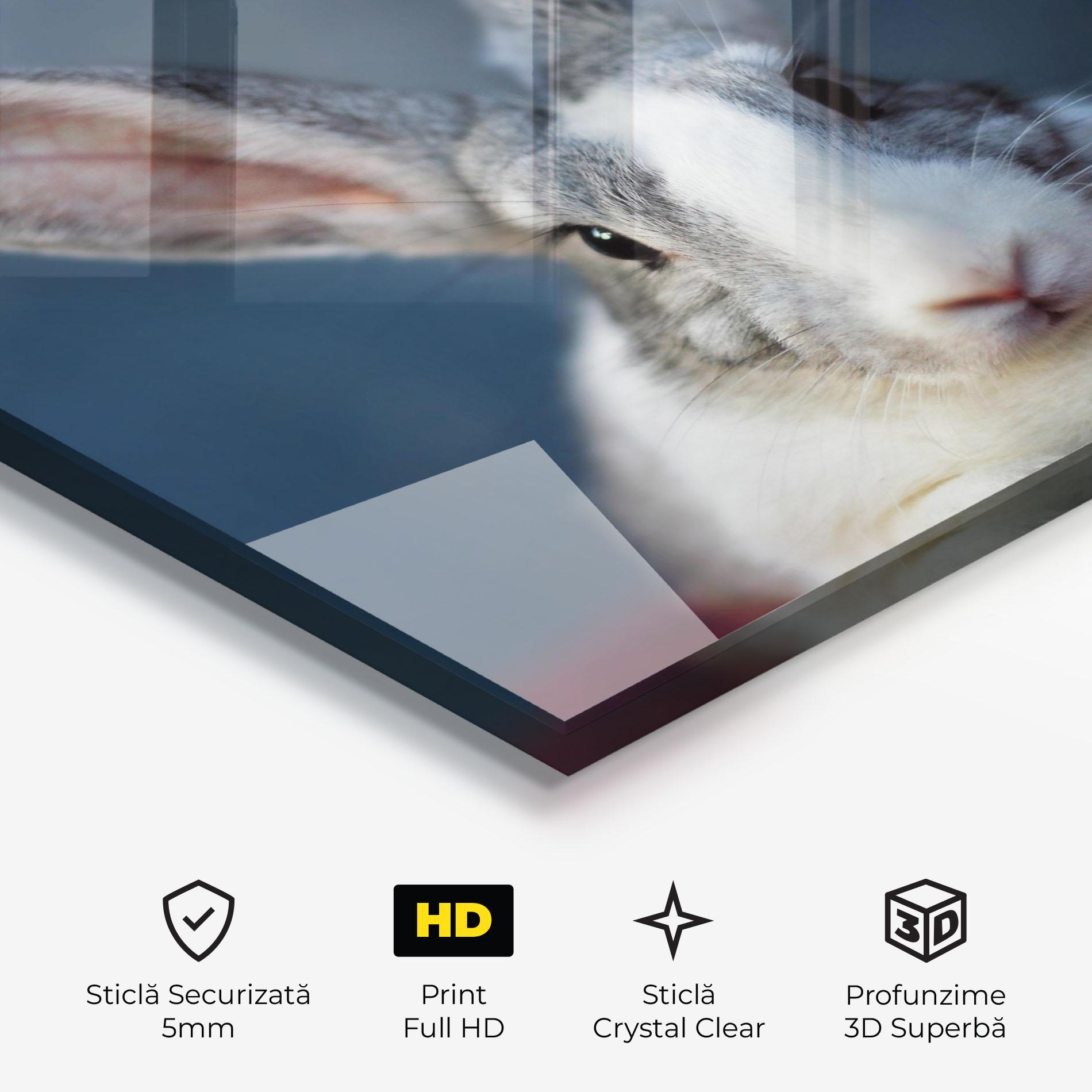 Tablou Sticla Cute Grey Bunny mockup 3