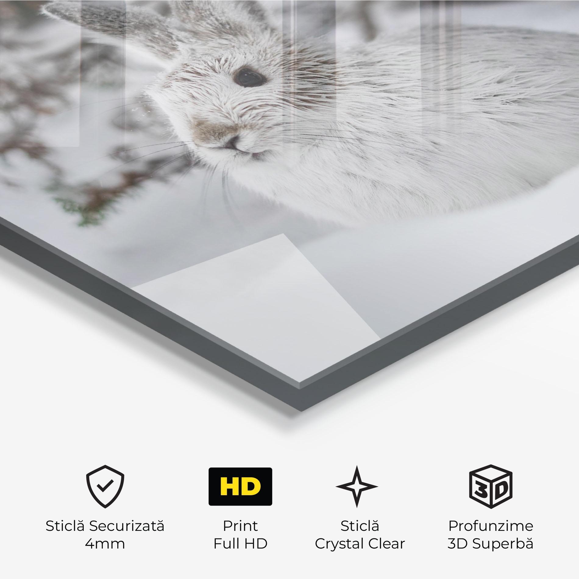 Tablou Sticla Bunny In Snow mockup 3