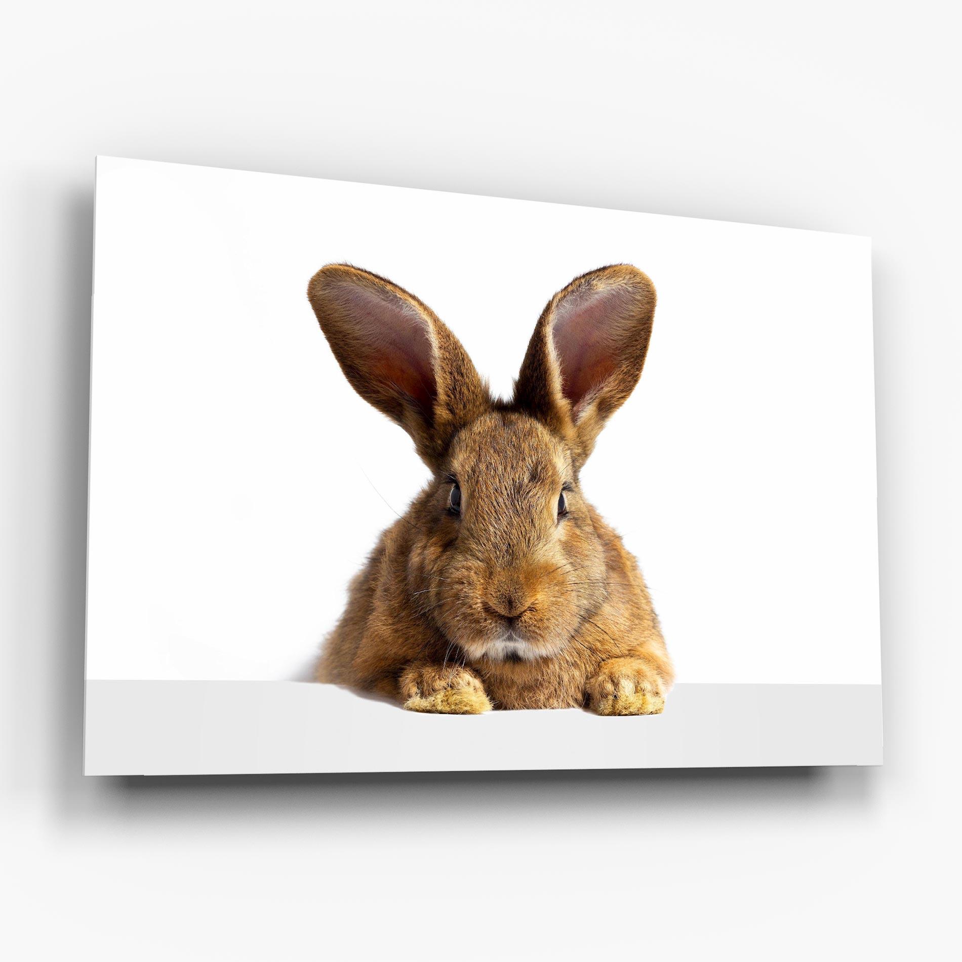Tablou Sticla Brown Cute Bunny mockup 6