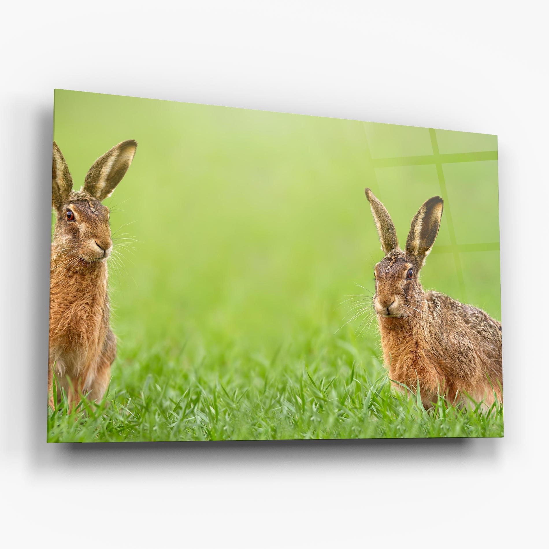 Tablou Sticla Brown Hares mockup 6