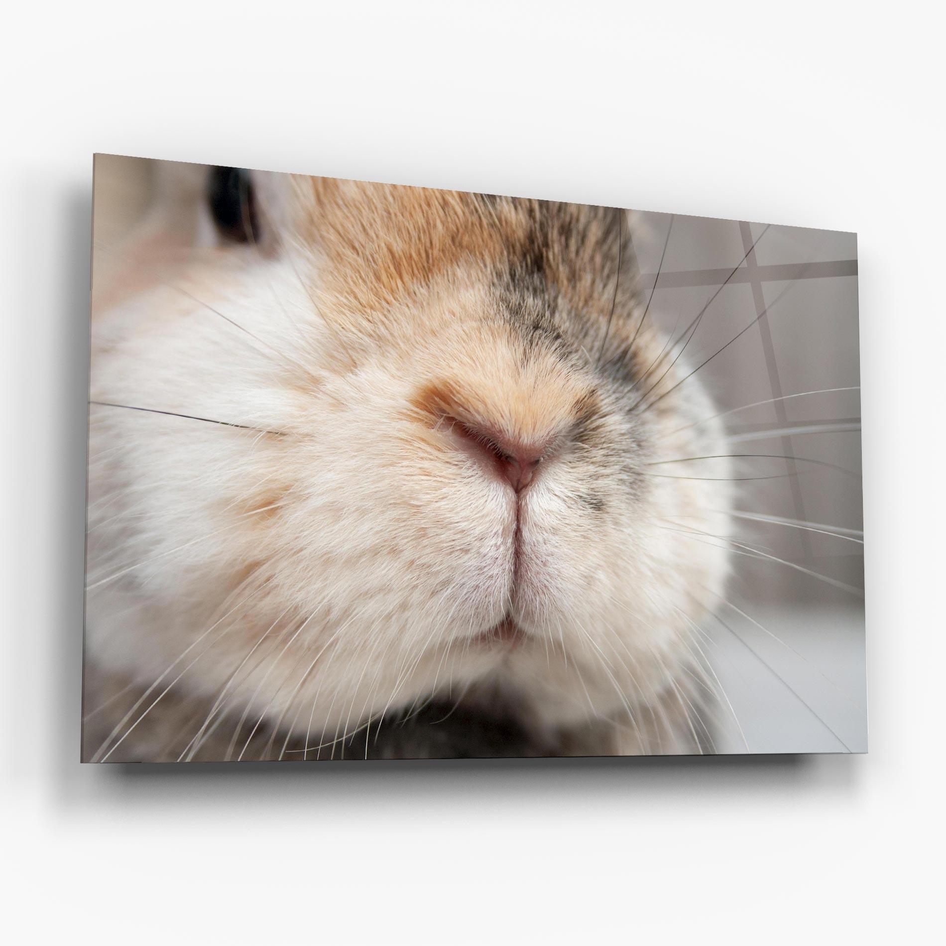 Tablou Sticla Close Up Bunny mockup 6