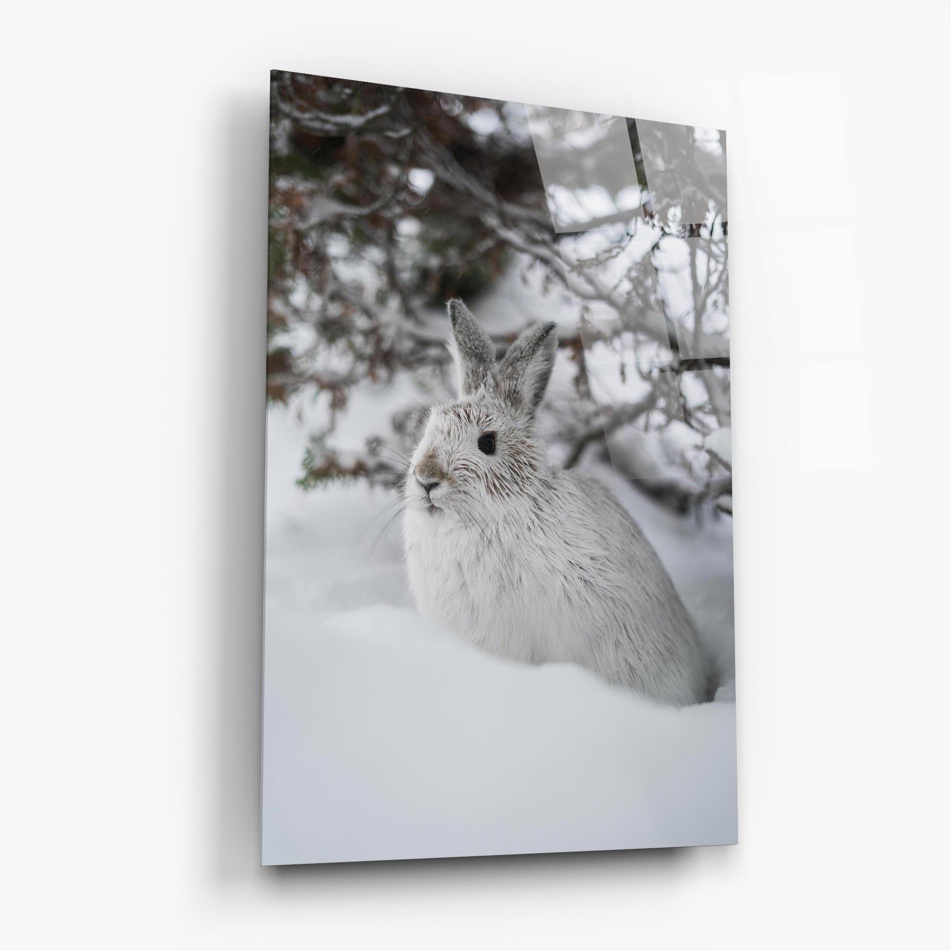 Tablou Sticla Bunny In Snow mockup 6