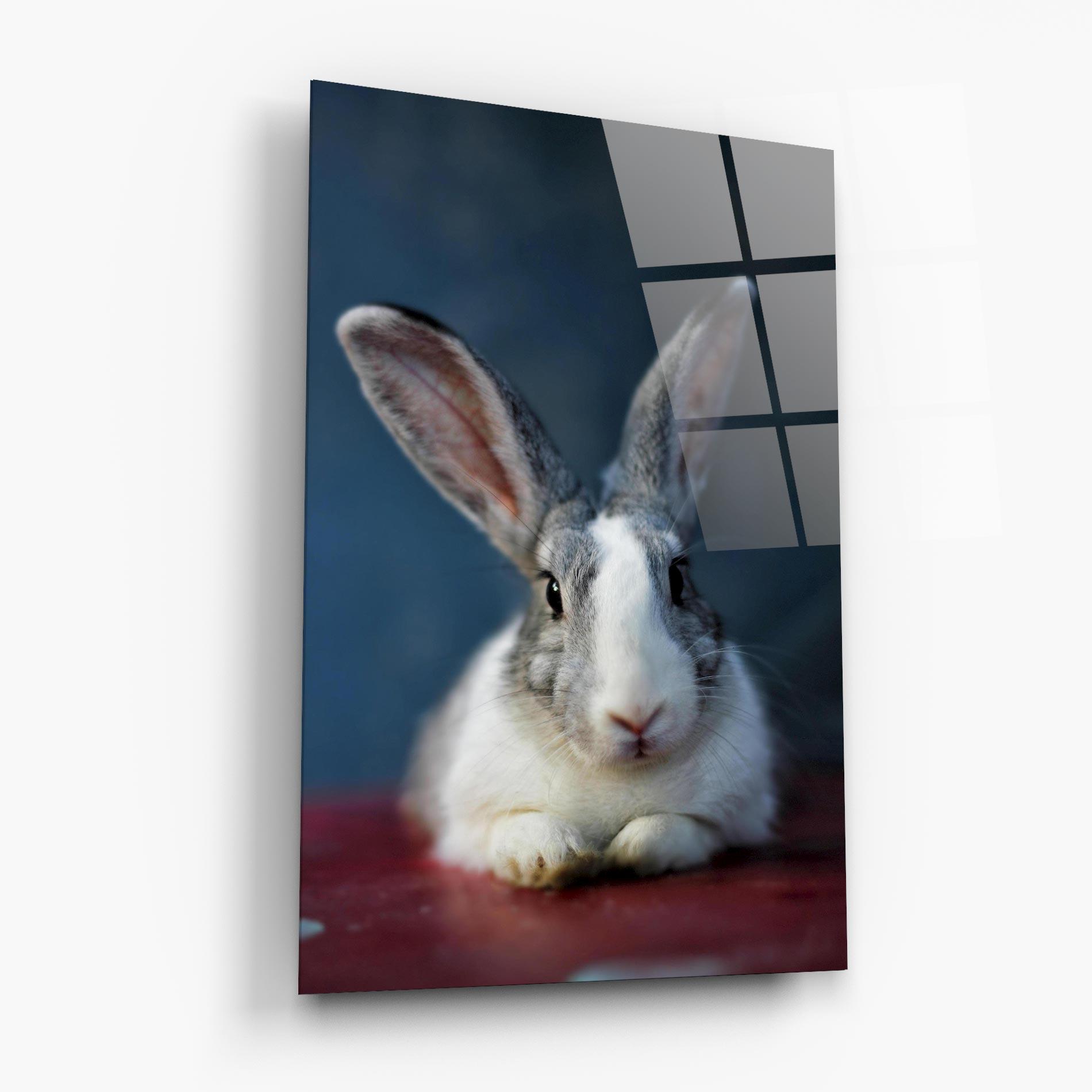 Tablou Sticla Cute Grey Bunny mockup 6