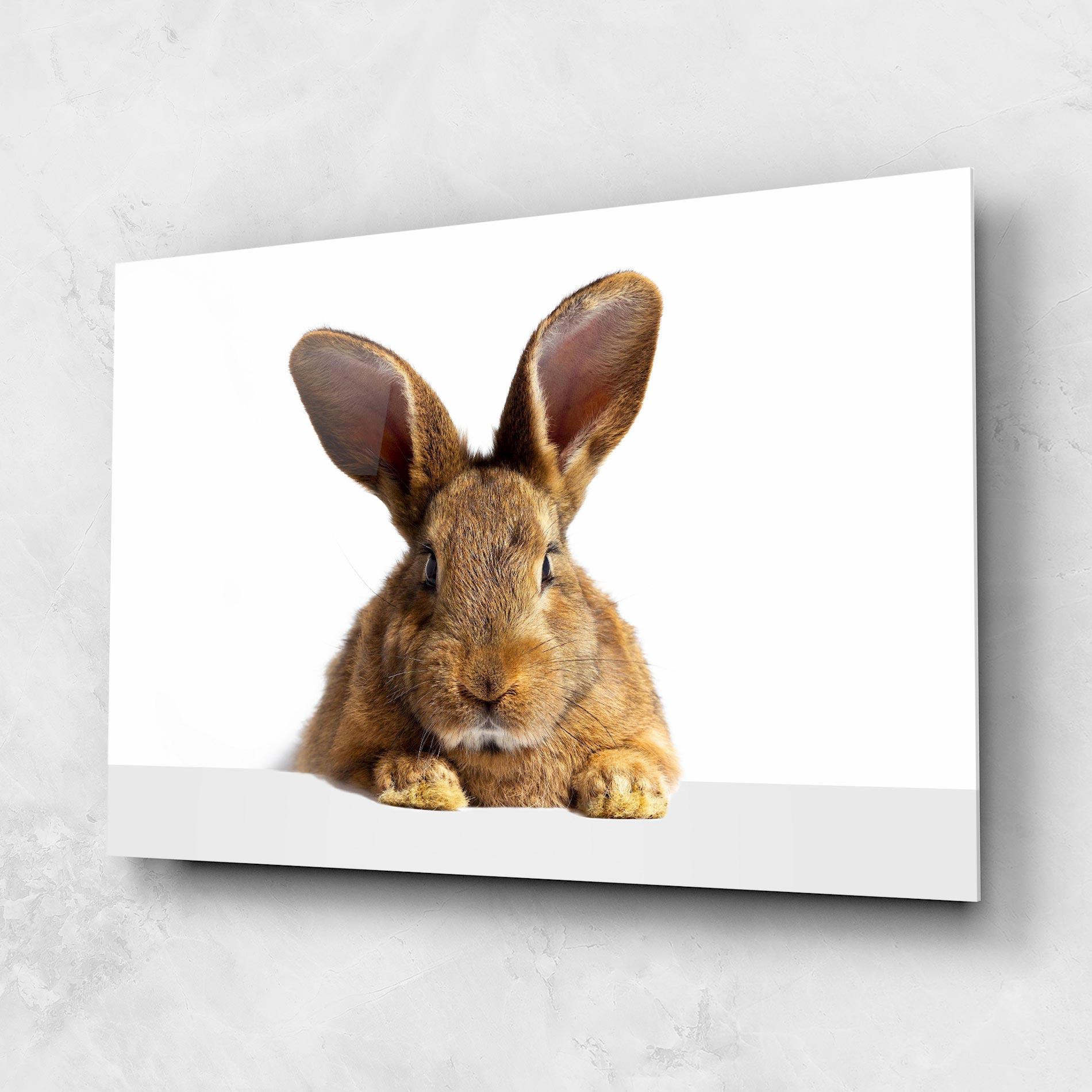 Tablou Sticla Brown Cute Bunny mockup 1
