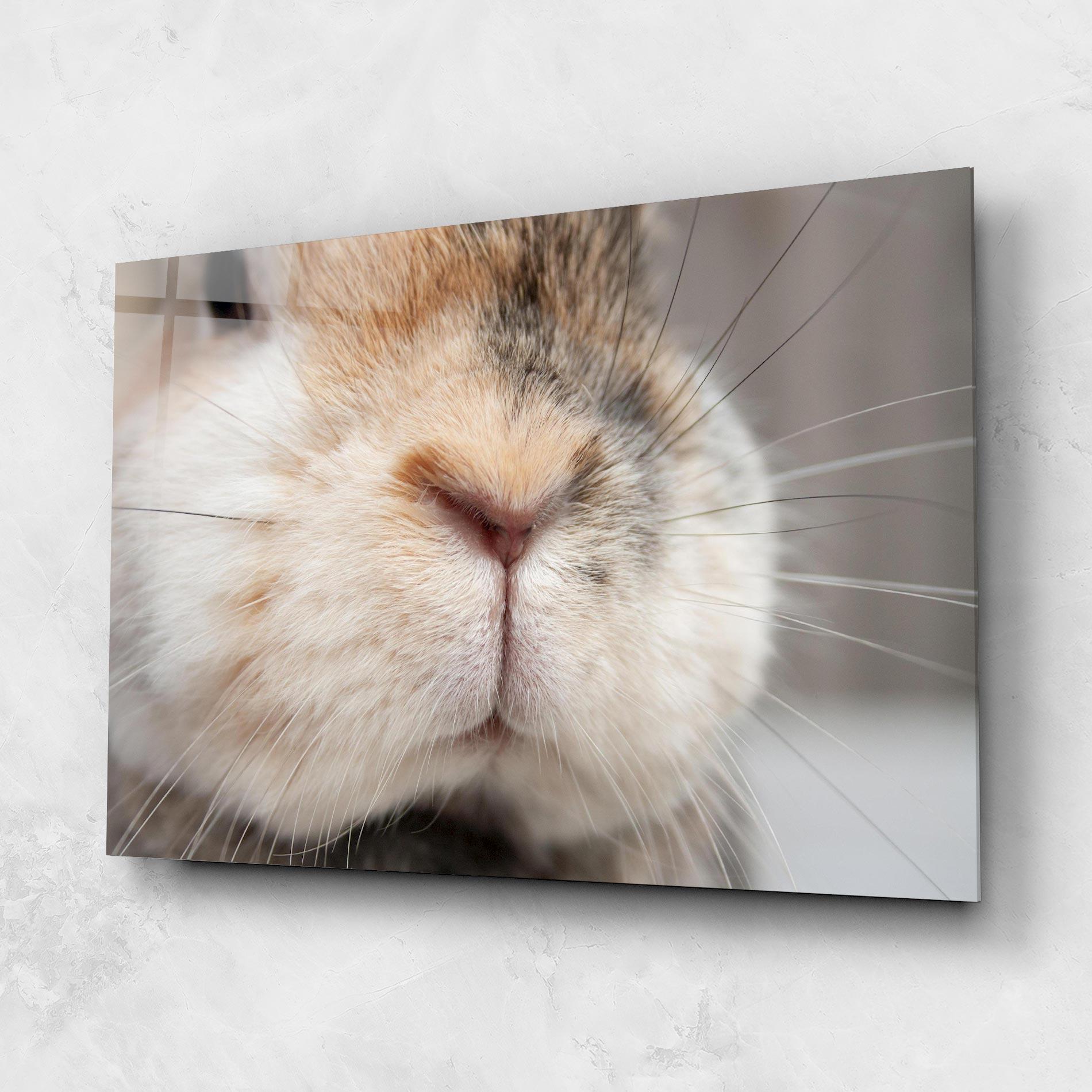 Tablou Sticla Close Up Bunny mockup 1