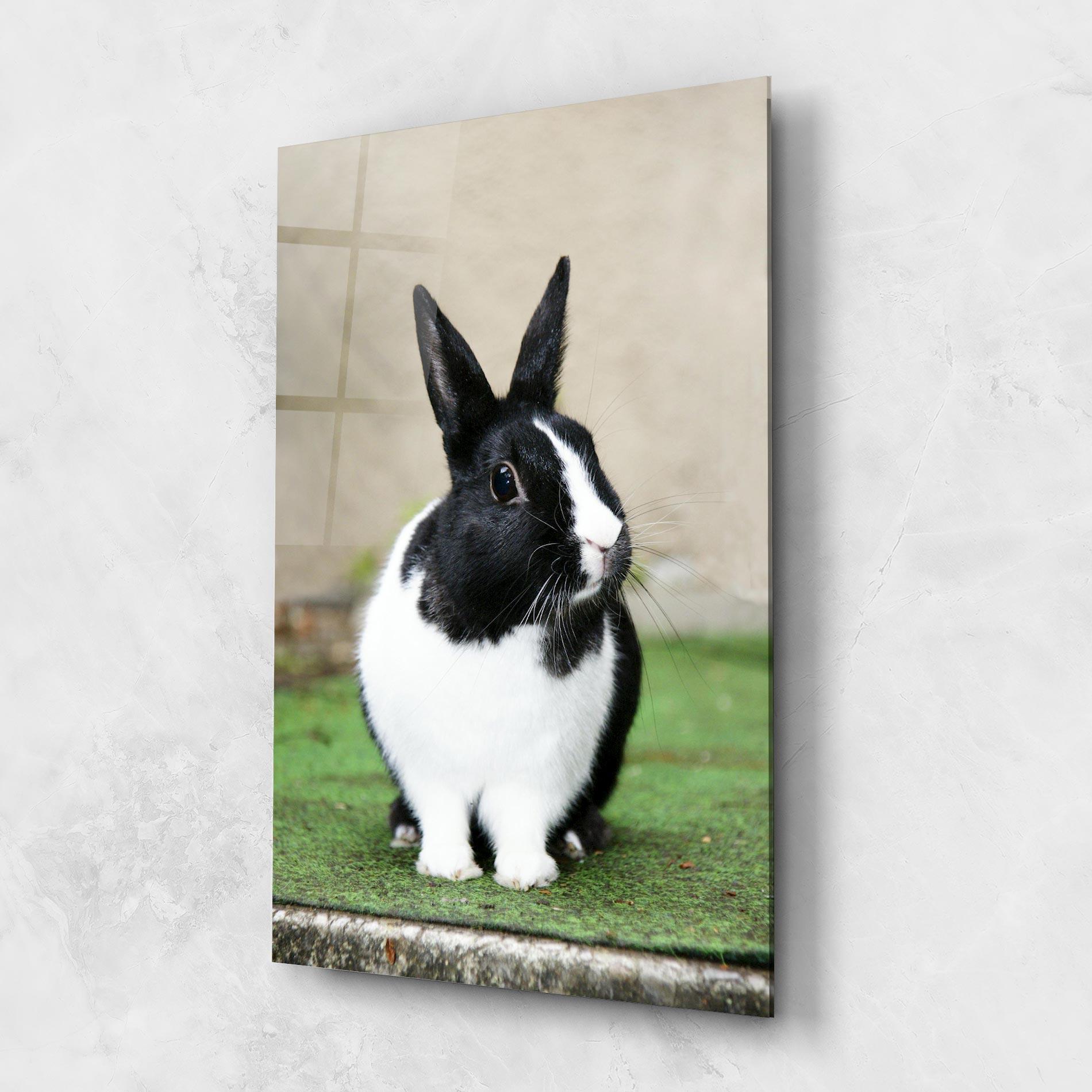 Tablou Sticla Black Ear Rabbit mockup 1