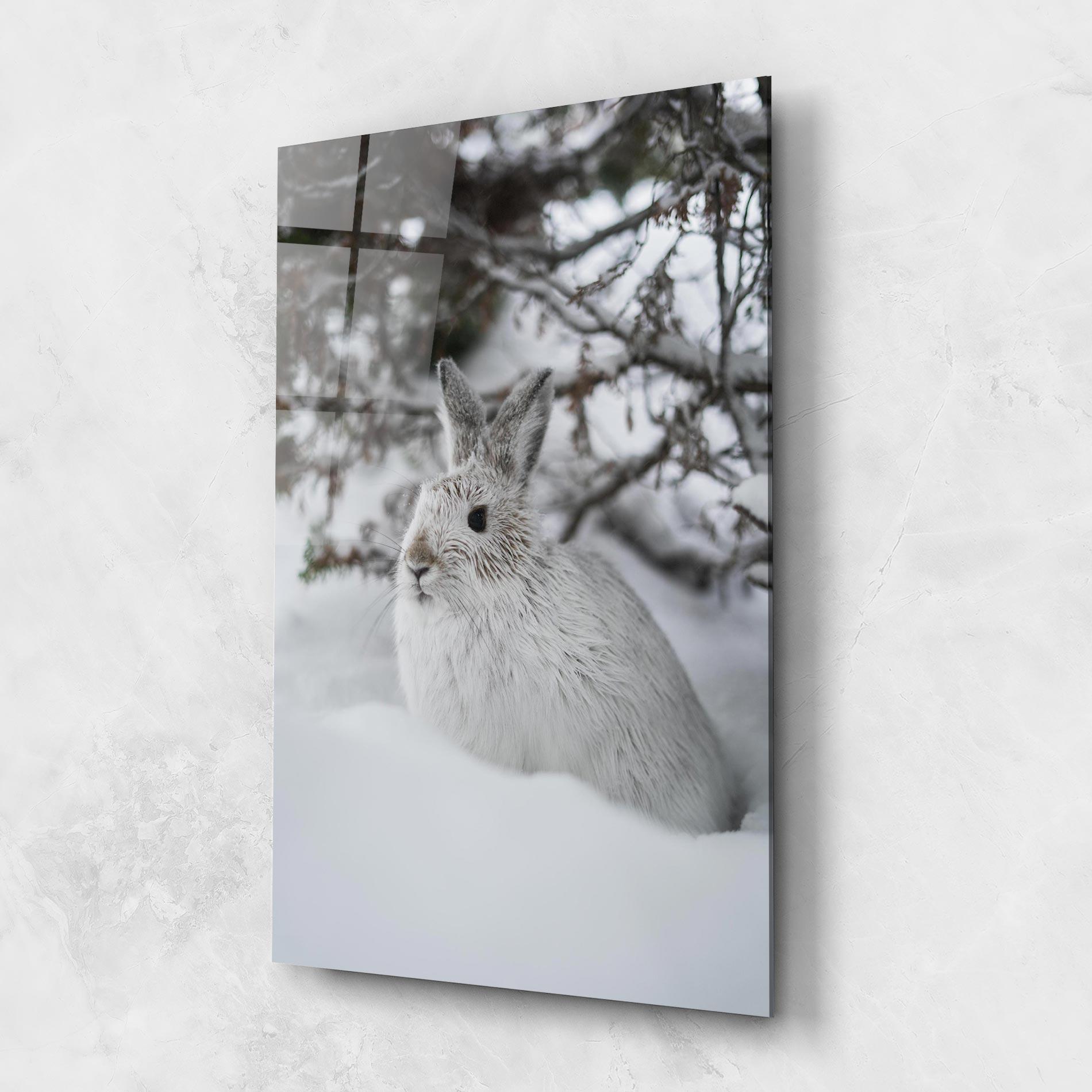 Tablou Sticla Bunny In Snow mockup 1