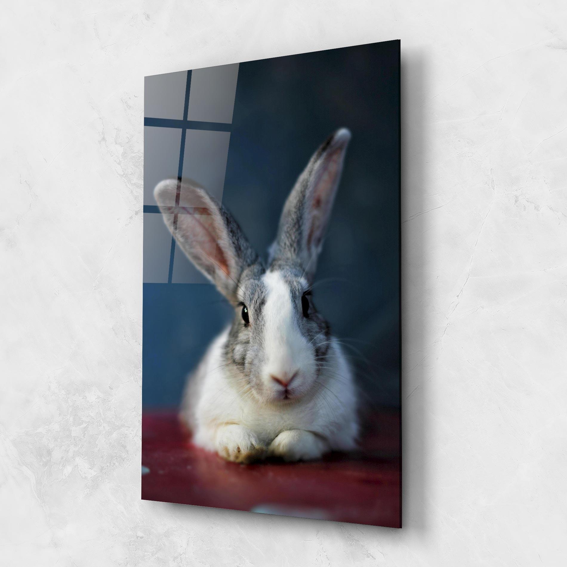 Tablou Sticla Cute Grey Bunny mockup 1