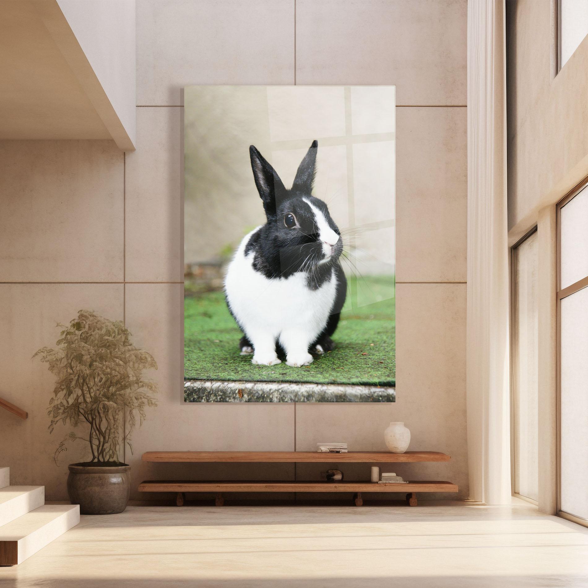 Tablou Sticla Black Ear Rabbit mockup 8