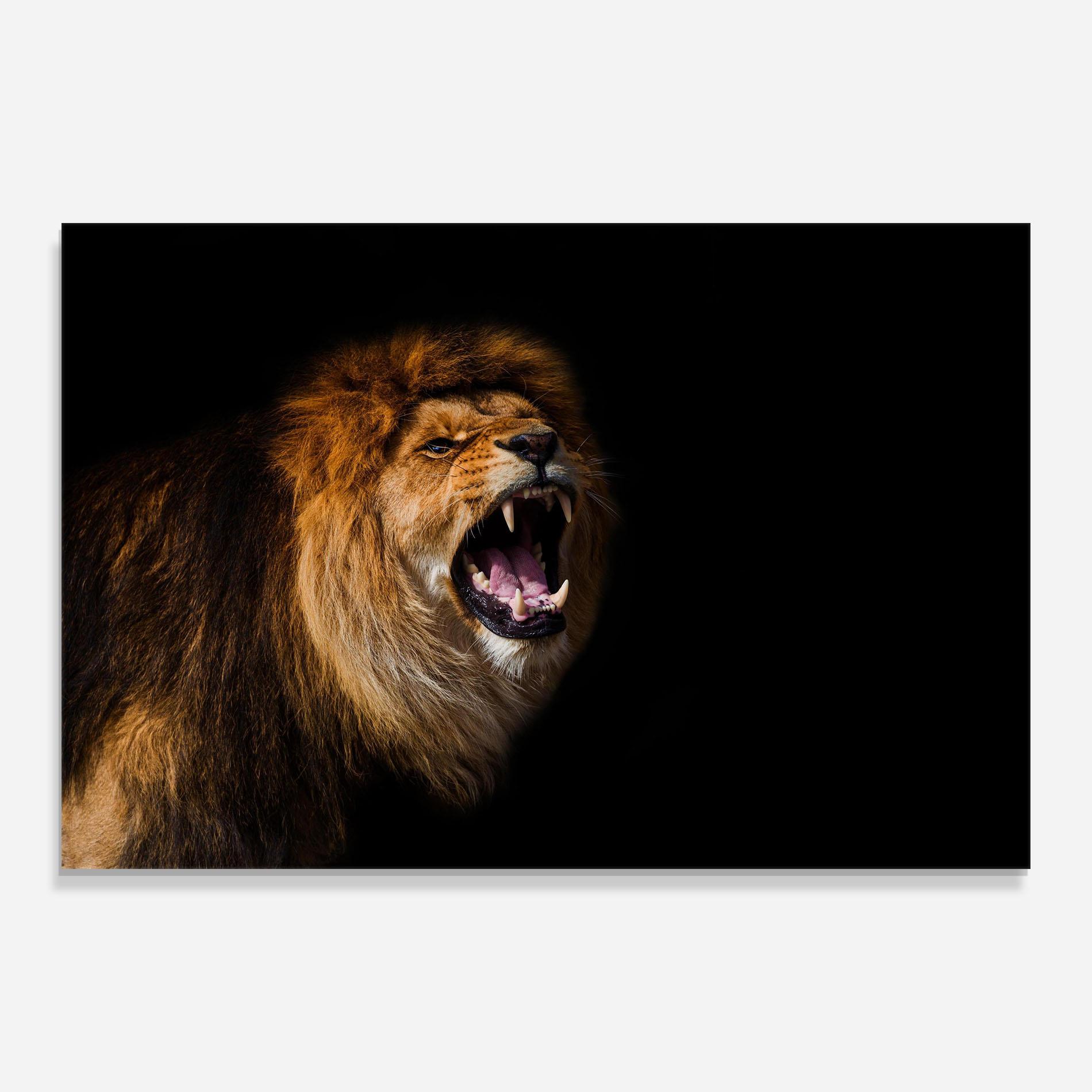 Tablou Sticla Beautiful Lion Portrait mockup 0