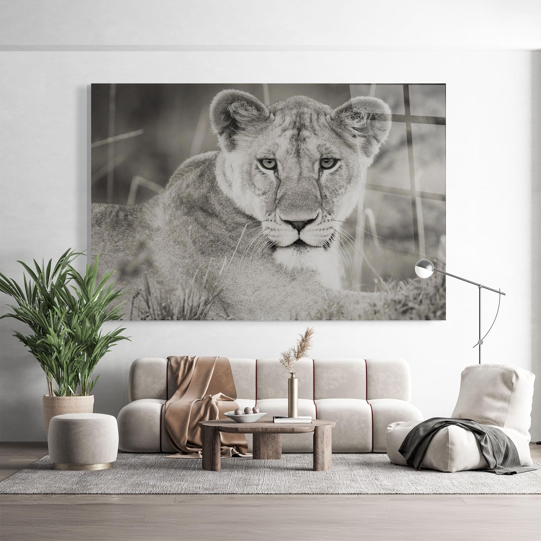 Tablou Sticla Grey Female Lion Looking mockup 9