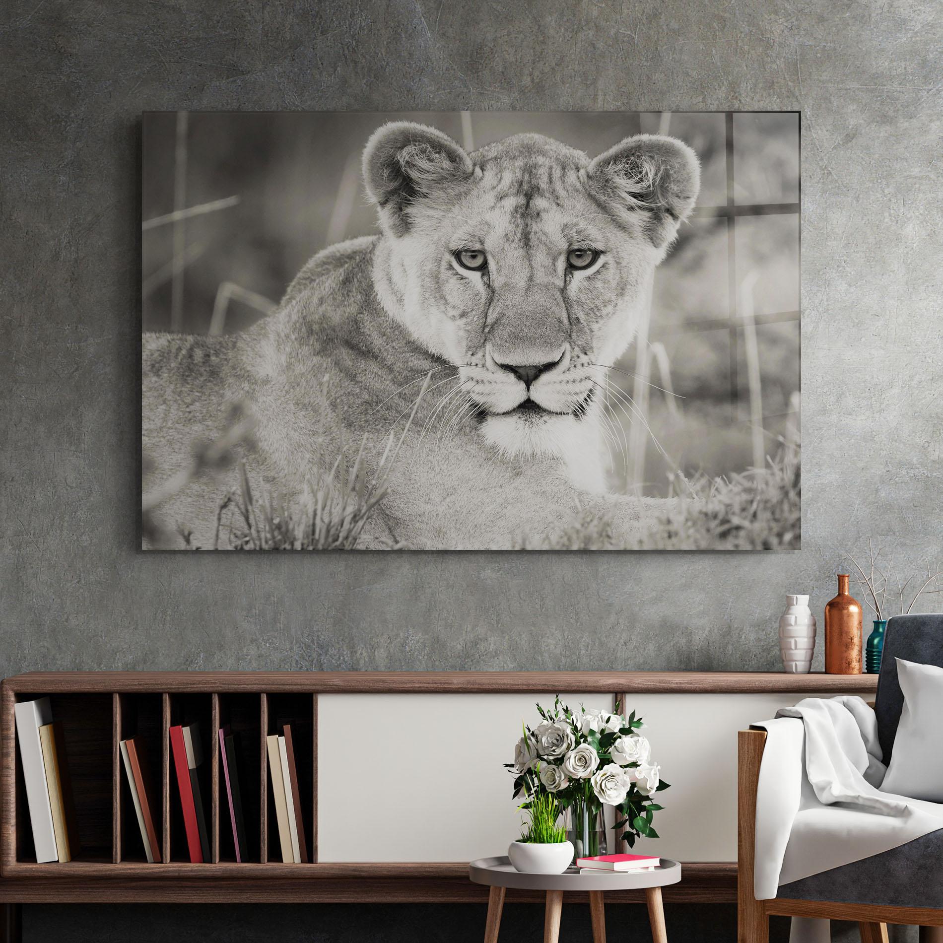 Tablou Sticla Grey Female Lion Looking mockup 2