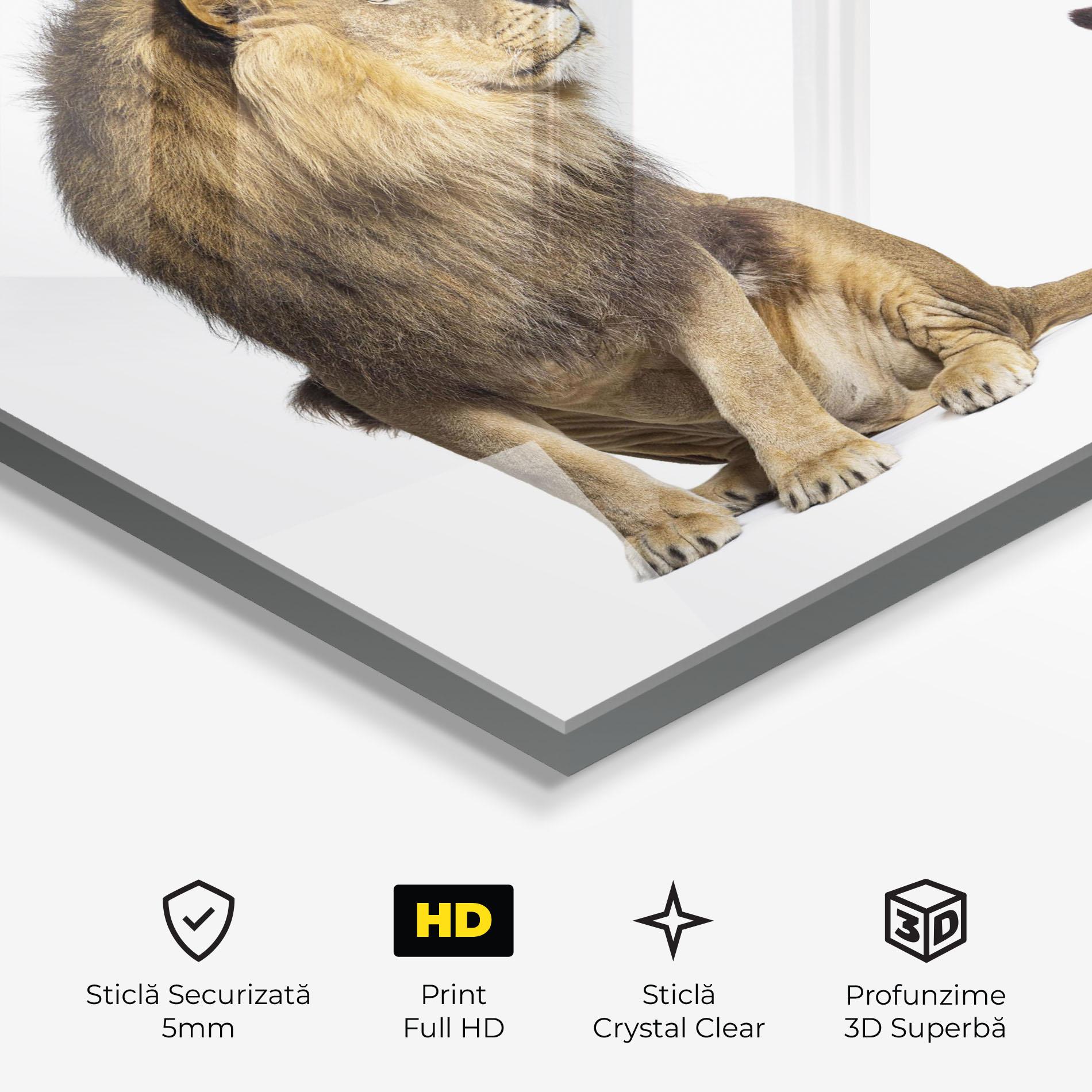 Tablou Sticla Big Lion mockup 3