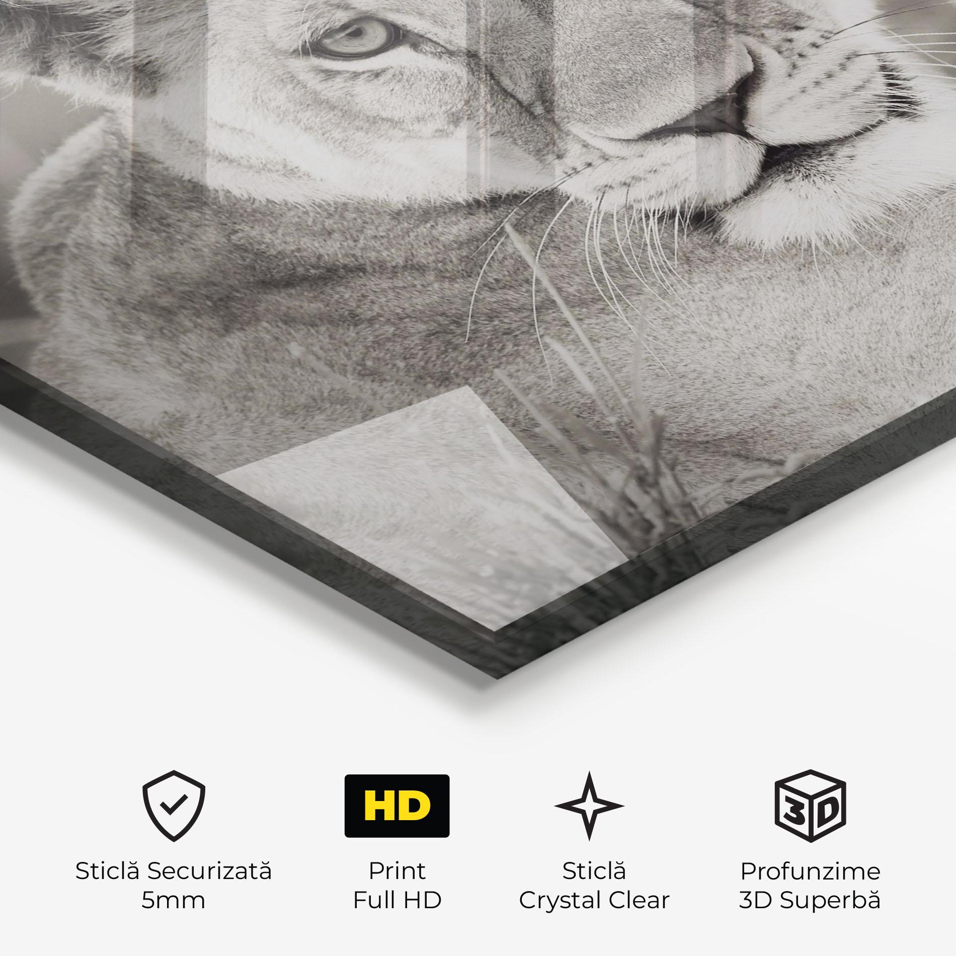 Tablou Sticla Grey Female Lion Looking mockup 3