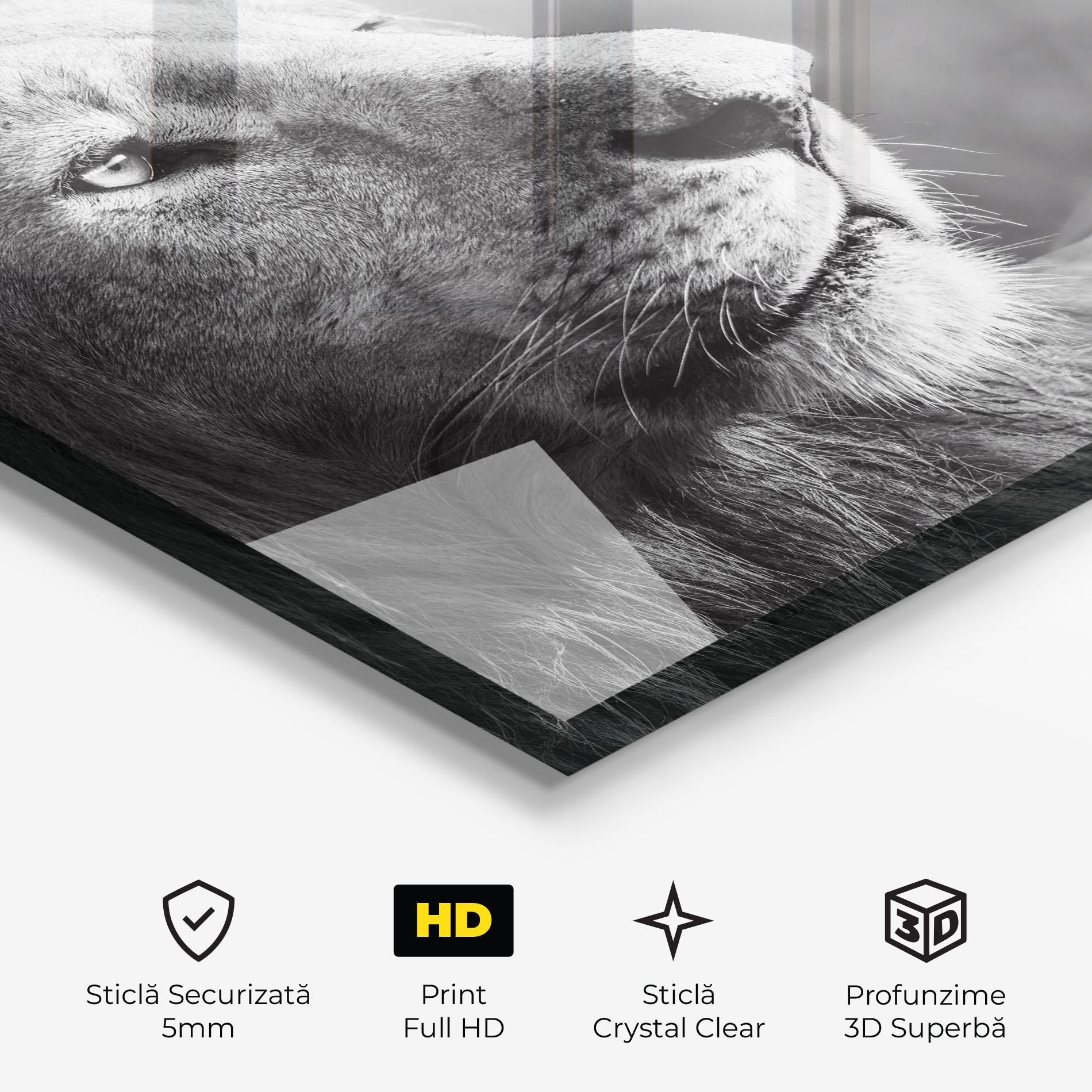 Tablou Sticla Grey Lion Head mockup 3