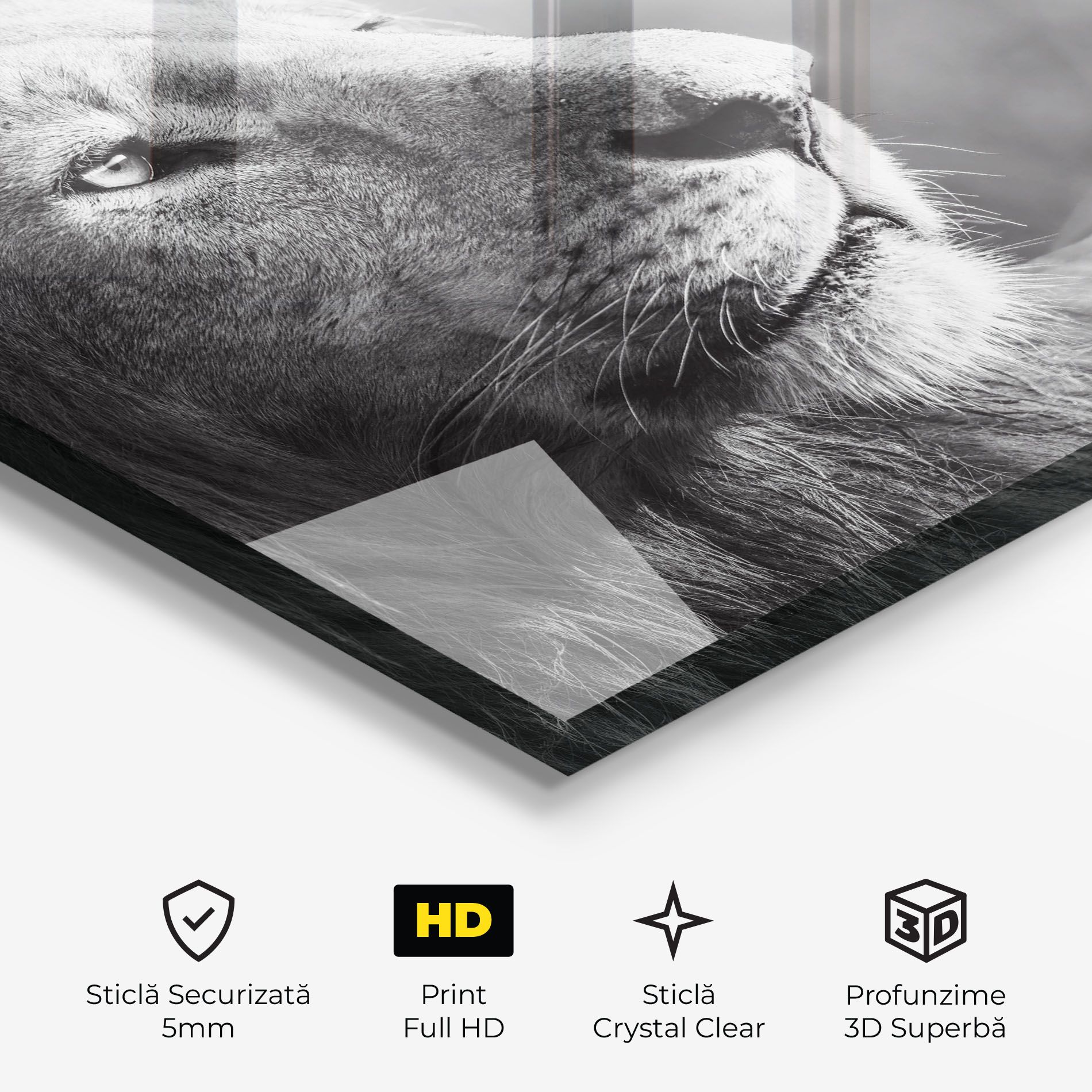 Grey Lion Head mockup 3