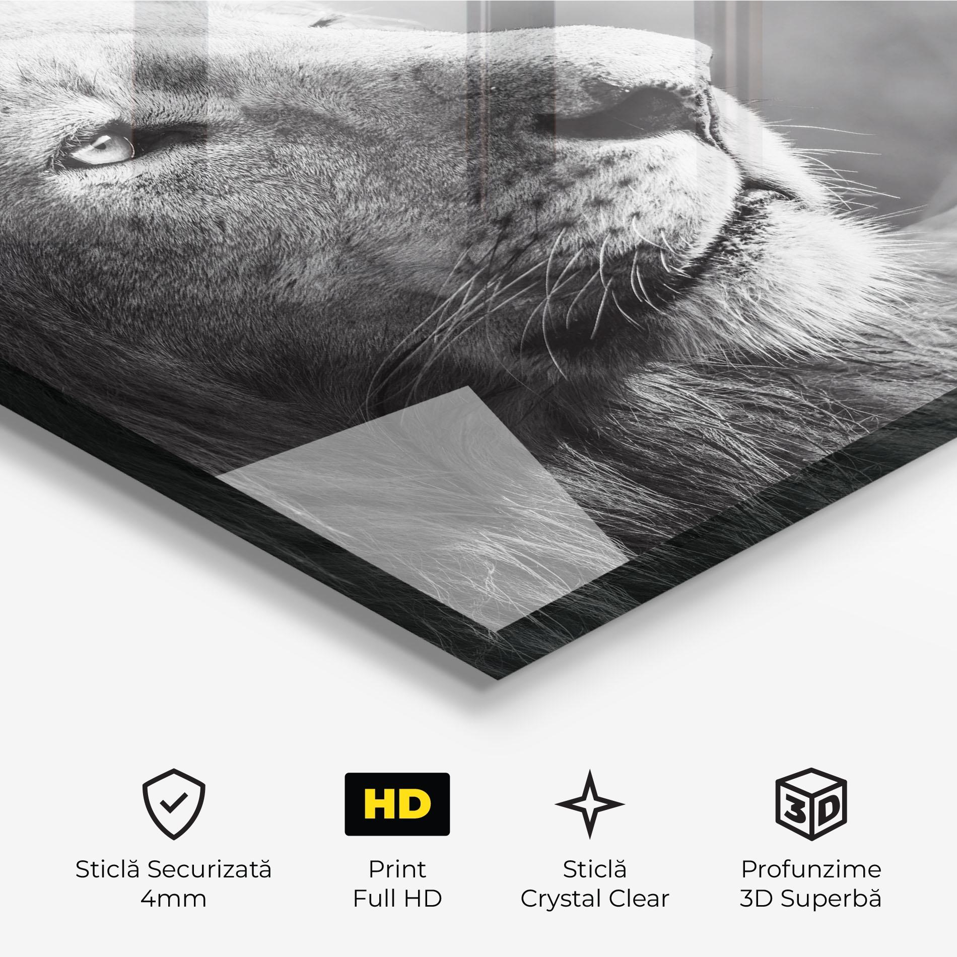 Tablou Sticla Grey Lion Head mockup 3