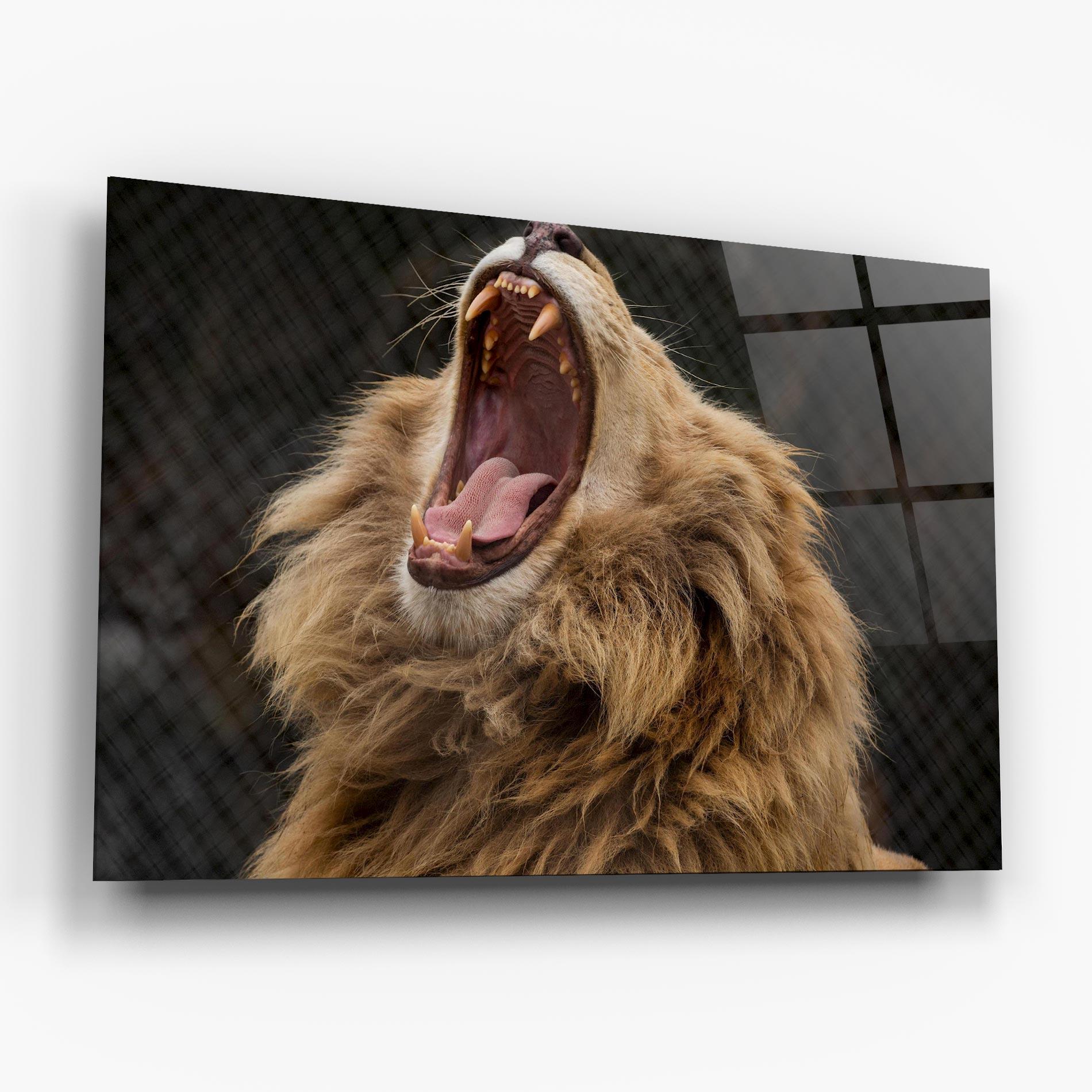 Tablou Sticla Angry Lion mockup 6