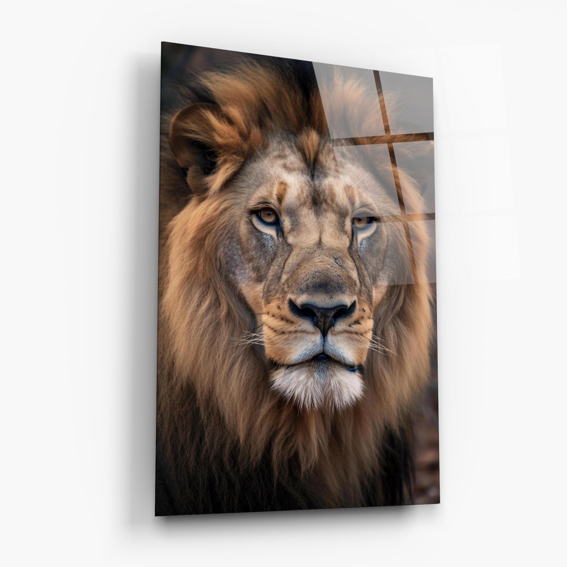 Tablou Sticla Wild Lion View mockup 6