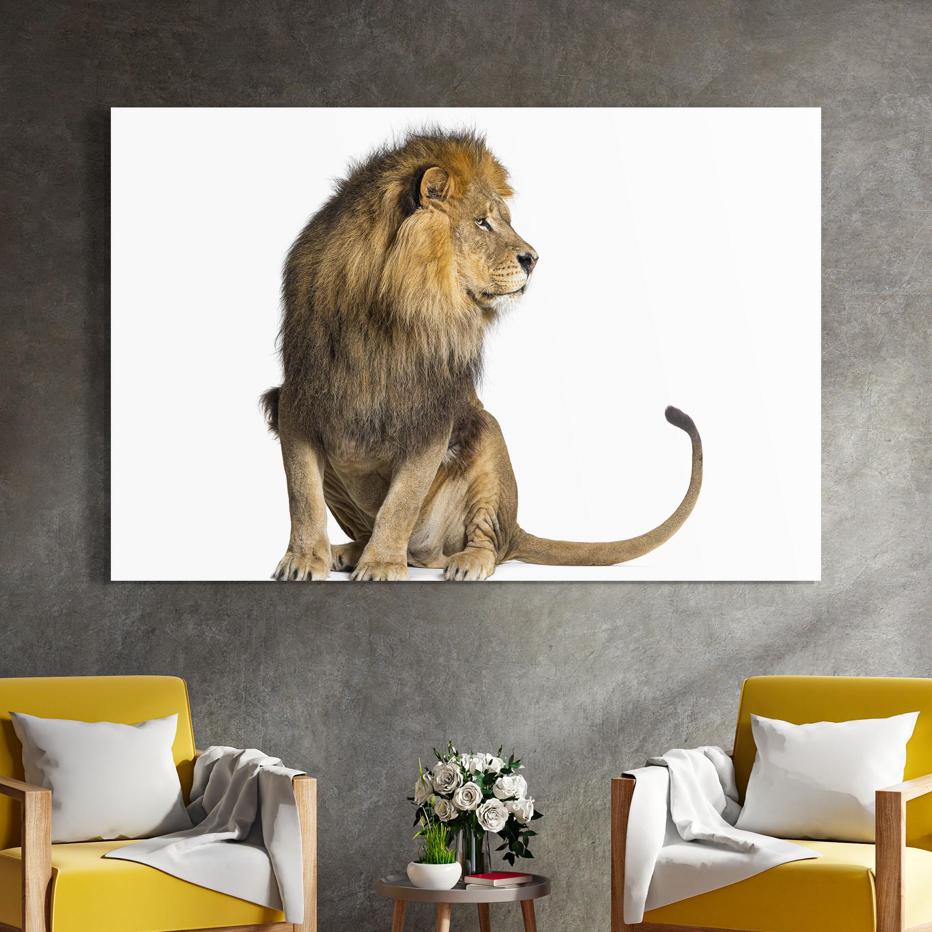Tablou Sticla Big Lion mockup 4
