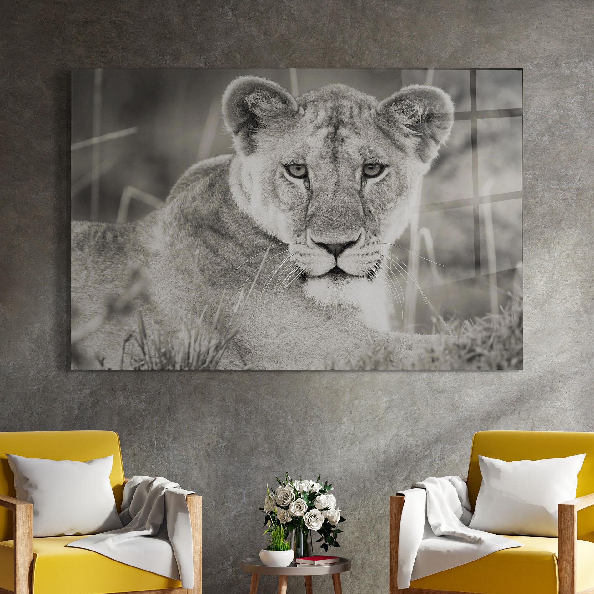 Tablou Sticla Grey Female Lion Looking mockup 4