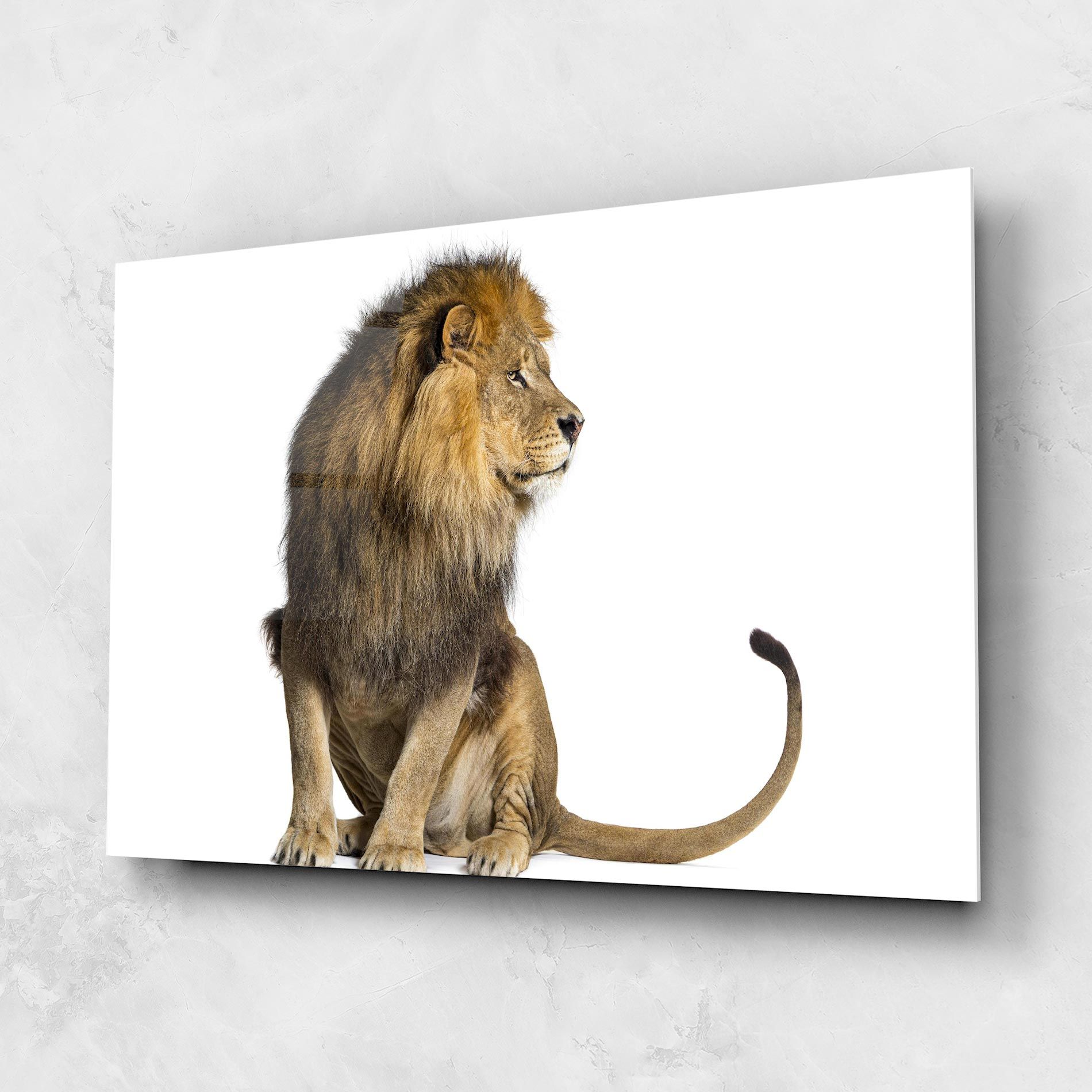 Big Lion mockup 1