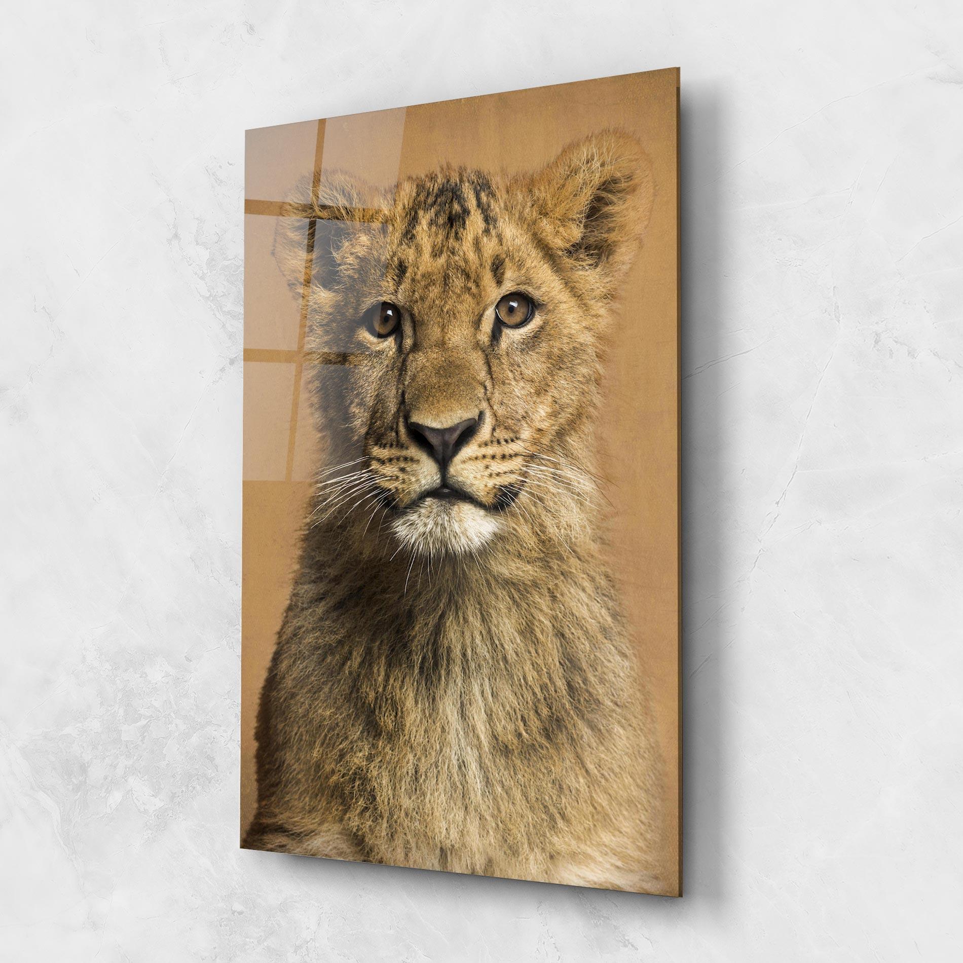 Tablou Sticla Baby Lion mockup 1
