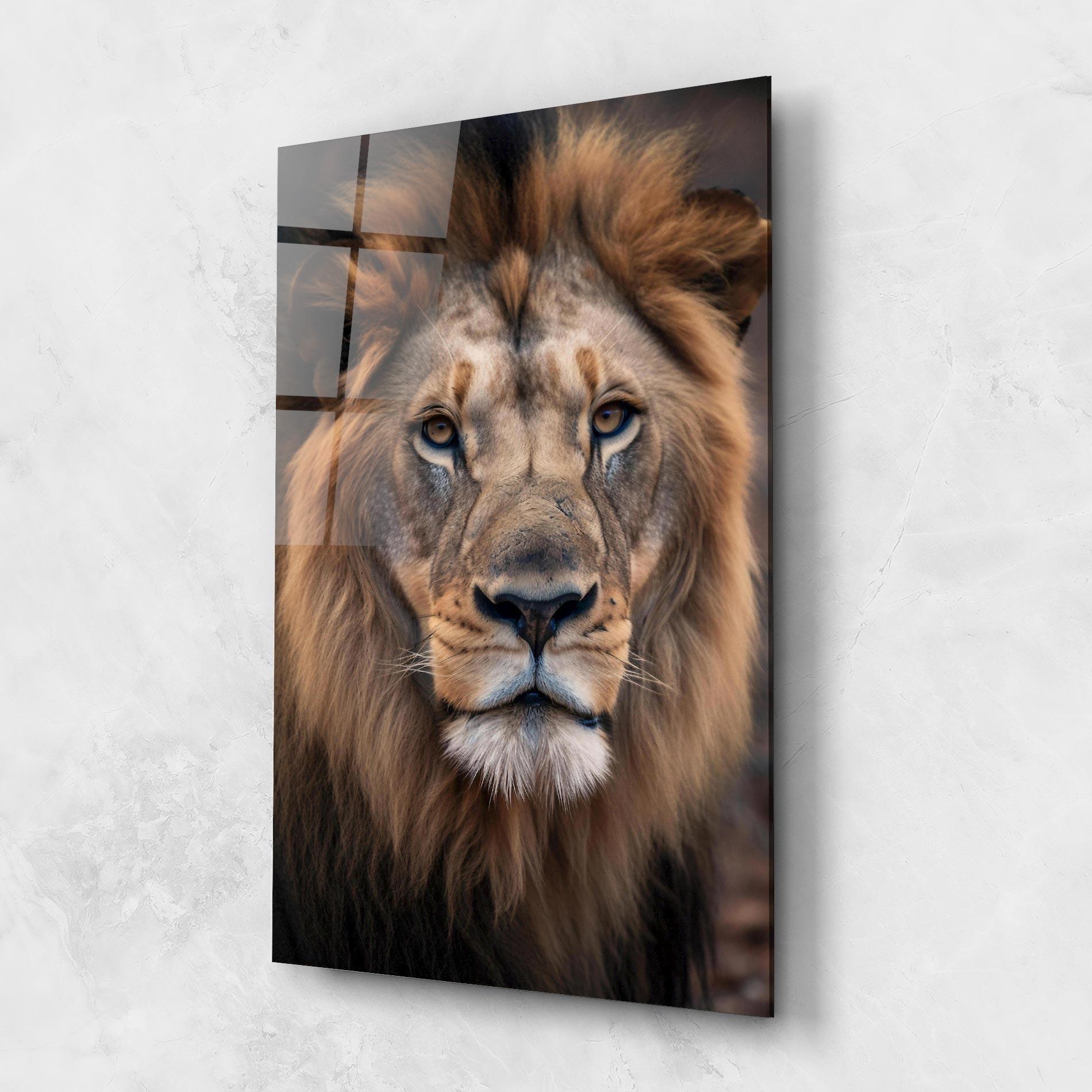 Tablou Sticla Wild Lion View mockup 1