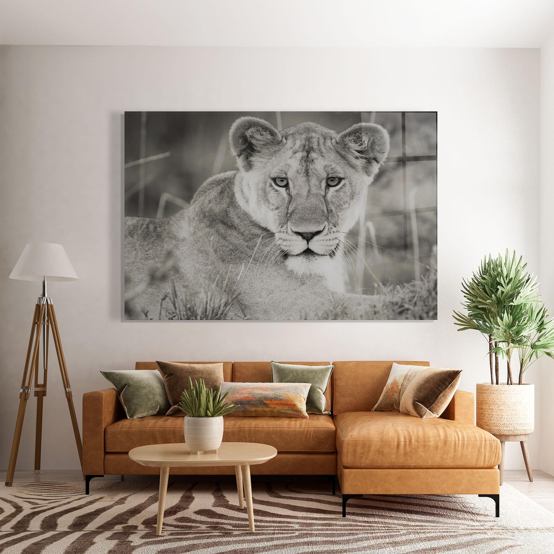 Tablou Sticla Grey Female Lion Looking mockup 7