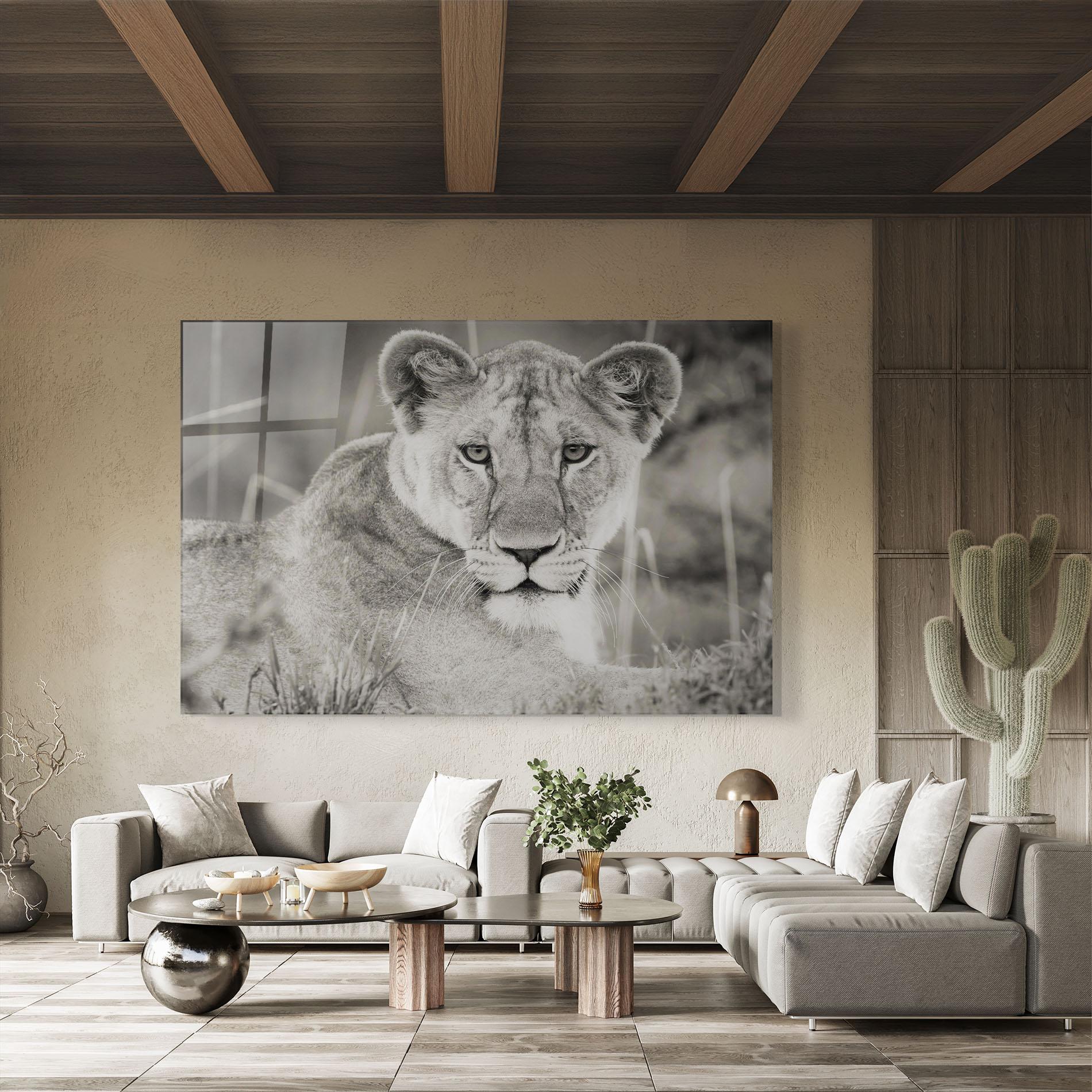 Tablou Sticla Grey Female Lion Looking mockup 8